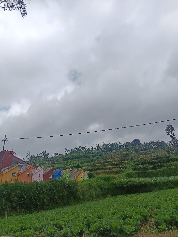 A landscape featuring a row of small, brightly colored houses at the edge of a tiered agricultural landscape. The houses are painted in orange, pink, blue, green, and yellow hues. Behind the houses, the land rises in terraced levels, filled with lush green vegetation and banana trees. Overcast skies dominate the upper portion of the image, suggesting a cloudy day. A powerline stretches across the middle ground, slightly obscuring the view.