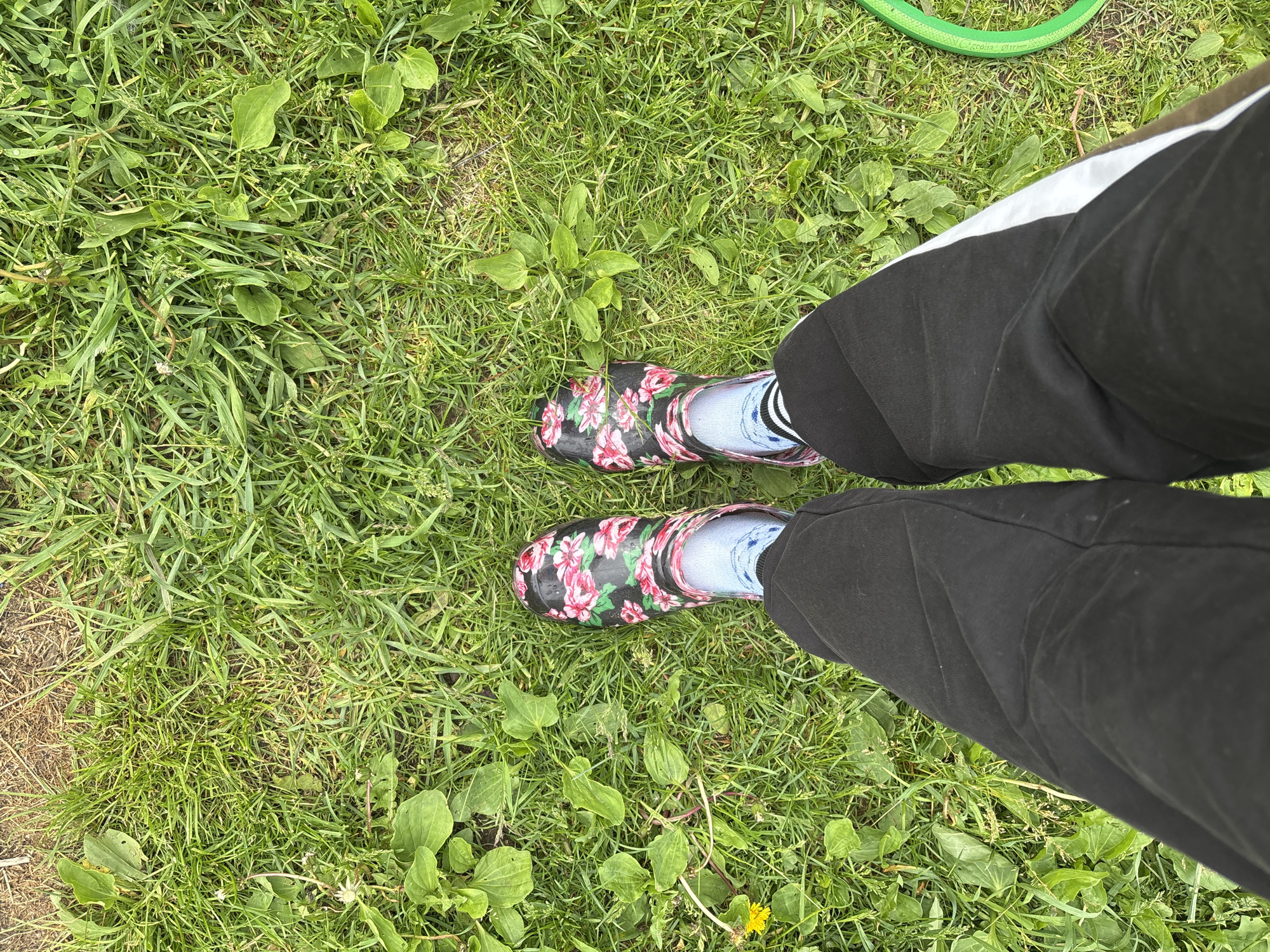 The image shows a pair of feet wearing black pants with a white stripe, light blue socks, and black floral-patterned rubber boots. The feet are standing on a patch of green grass. A green garden hose is partially visible on the right side of the image. The scene appears to be outdoors in a grassy area. There is no information available in the image to determine the specific location within the city of Курган, Russia.