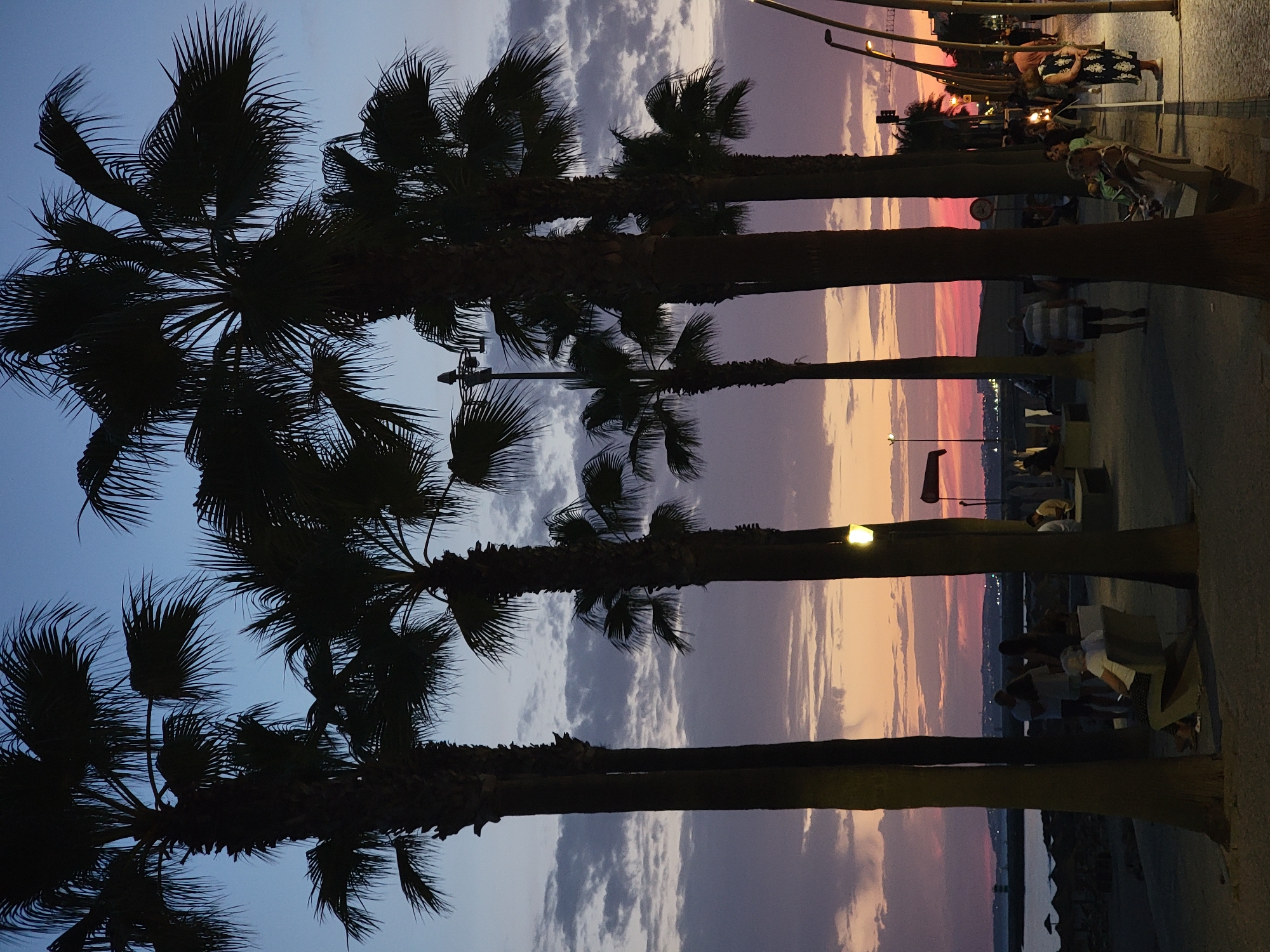 The image depicts a sunset scene along the Quarteira waterfront in Portugal. Several silhouetted palm trees dominate the foreground, with their fronds casting shadows on the paved walkway. In the background, the sky displays a gradient of colors from deep blue at the top to hues of pink and orange near the horizon, indicating the setting sun. Clouds are scattered across the sky, catching the light.
Along the walkway, several people are visible. Some are seated on benches, while others are standing or walking. A group of people is gathered near the water's edge, with a lighthouse visible in the distance on a jetty. The overall atmosphere is relaxed and suggests an evening promenade or leisure activity. The lighting suggests it is dusk, with artificial lights from lampposts beginning to illuminate the scene.