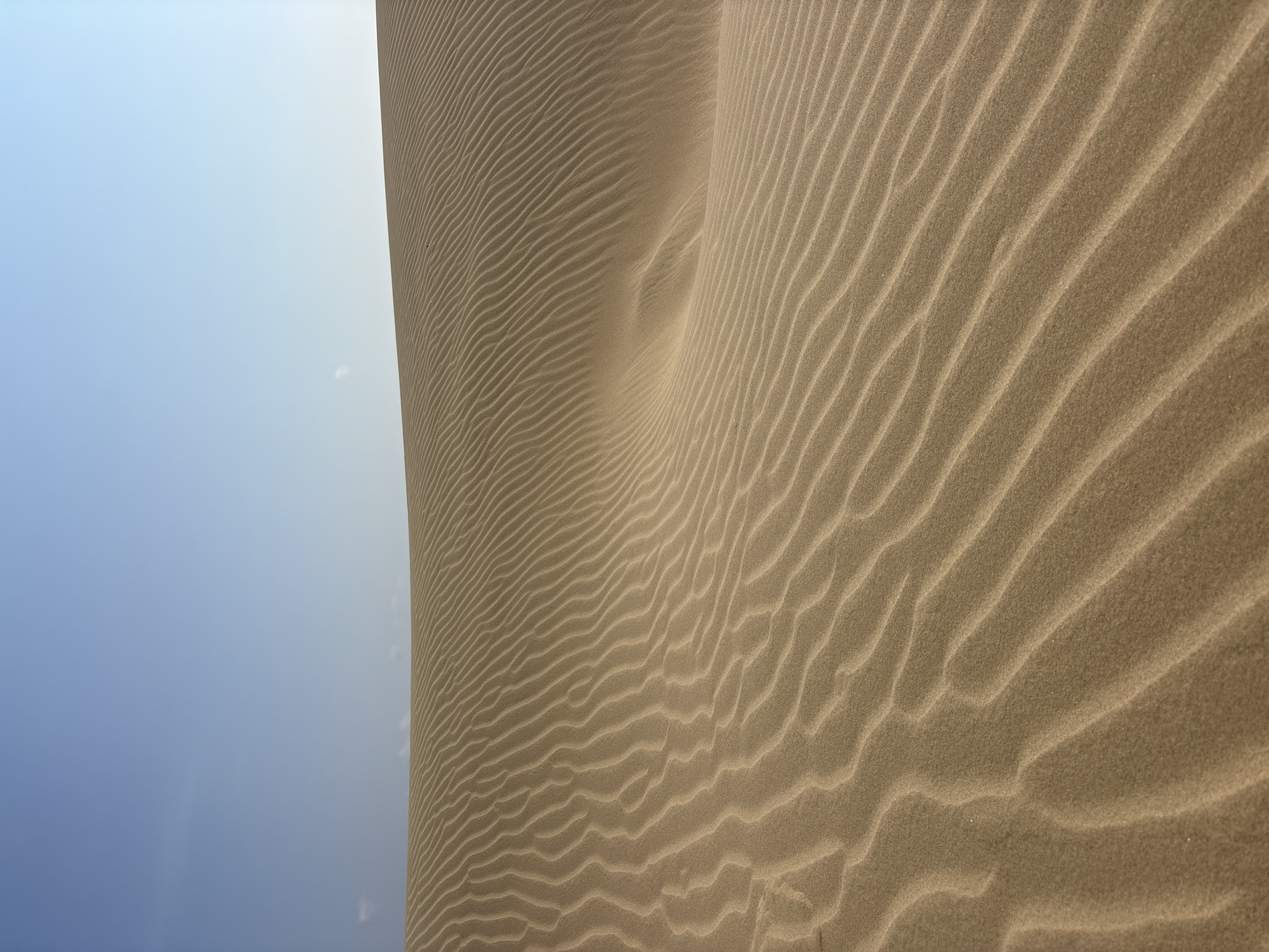 This striking minimalist landscape image captures a vast sand dune under a clear sky. The sand dune dominates the right portion of the frame, showcasing a magnificent display of wind-formed ripples. These undulating patterns, varying in depth and prominence, create a captivating texture across the dune's surface, appearing in shades of warm beige and light brown. A sweeping, organic curve forms a central ridge of the dune, lending a sense of dynamic movement and vastness to the sandy expanse.
The left side of the image is filled with a bright, open sky. It presents a gentle gradient, transitioning from a deeper, clear blue at the top to a lighter, almost ethereal blue-white closer to the horizon line where it meets the sand. A few very faint, wispy cloud formations are subtly visible in the lighter sky.
The lighting suggests a bright, sunny daytime, likely late morning or early afternoon, with direct sunlight illuminating the sand and highlighting its intricate patterns. There are no harsh shadows, contributing to a serene and expansive atmosphere. The weather appears clear and calm, allowing for the fine details of the sand ripples to be observed.
No people, structures, or artificial objects are visible, emphasizing the natural beauty and untouched quality of the environment. The scene is located in Phuoc Dinh, Vietnam, a region known for its impressive sand dunes. No discernible text is present in the image. The composition conveys a sense of tranquility and the immense scale of natural formations.