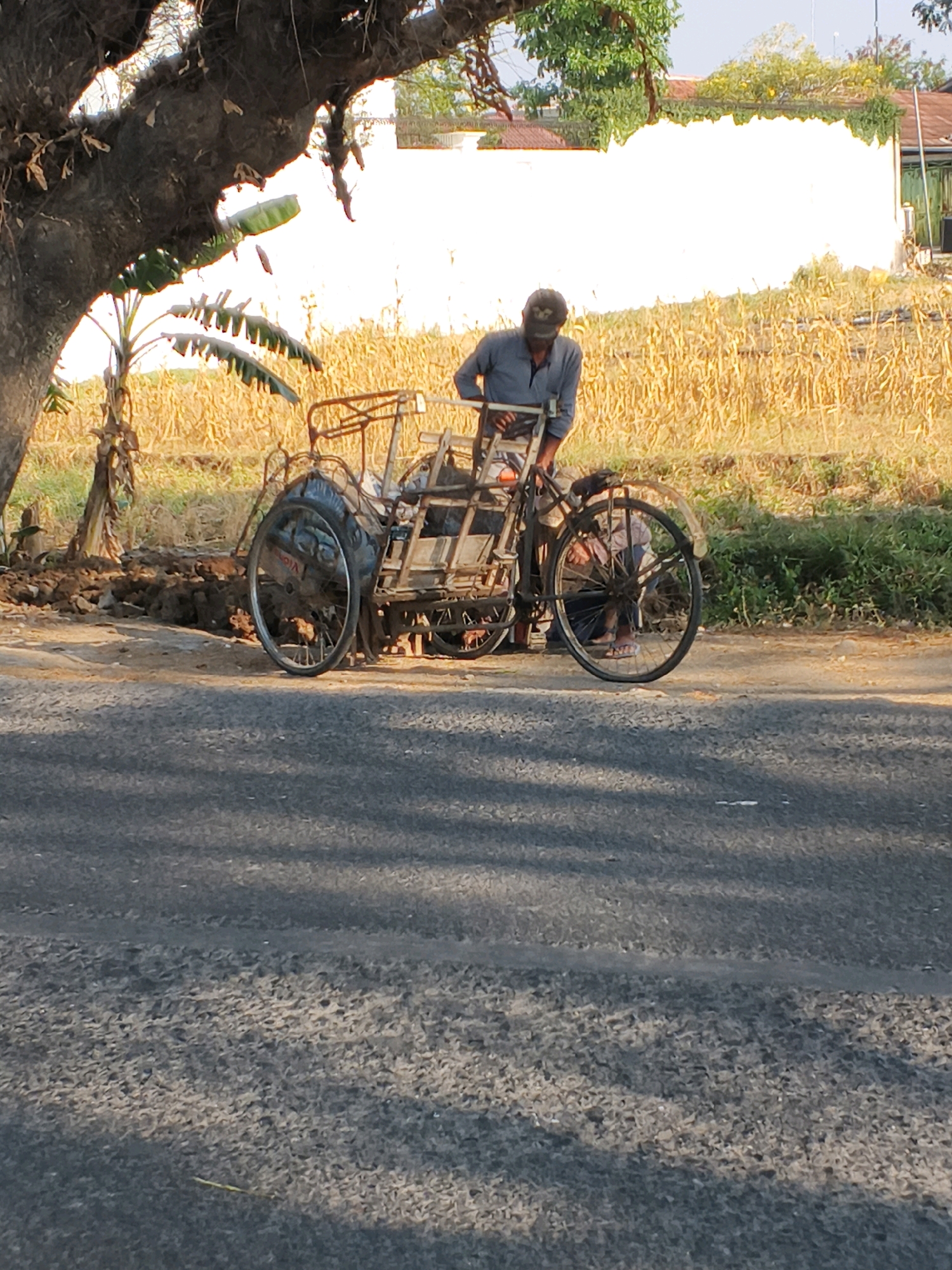 A man wearing a blue shirt and a dark baseball cap is working on a three-wheeled vehicle, possibly a bicycle rickshaw, on a paved road in Bulakelor, Indonesia. The vehicle has a metal frame and two large spoked wheels at the rear. The man is leaning over the vehicle, appearing to be making adjustments. In the background, a field of dry, yellow stalks, likely corn, stretches to a white building with a red-tiled roof. A large tree with dark, rough bark and some leaves partially shades the scene. The lighting suggests it is daytime, possibly late afternoon, with the sun casting shadows on the road.