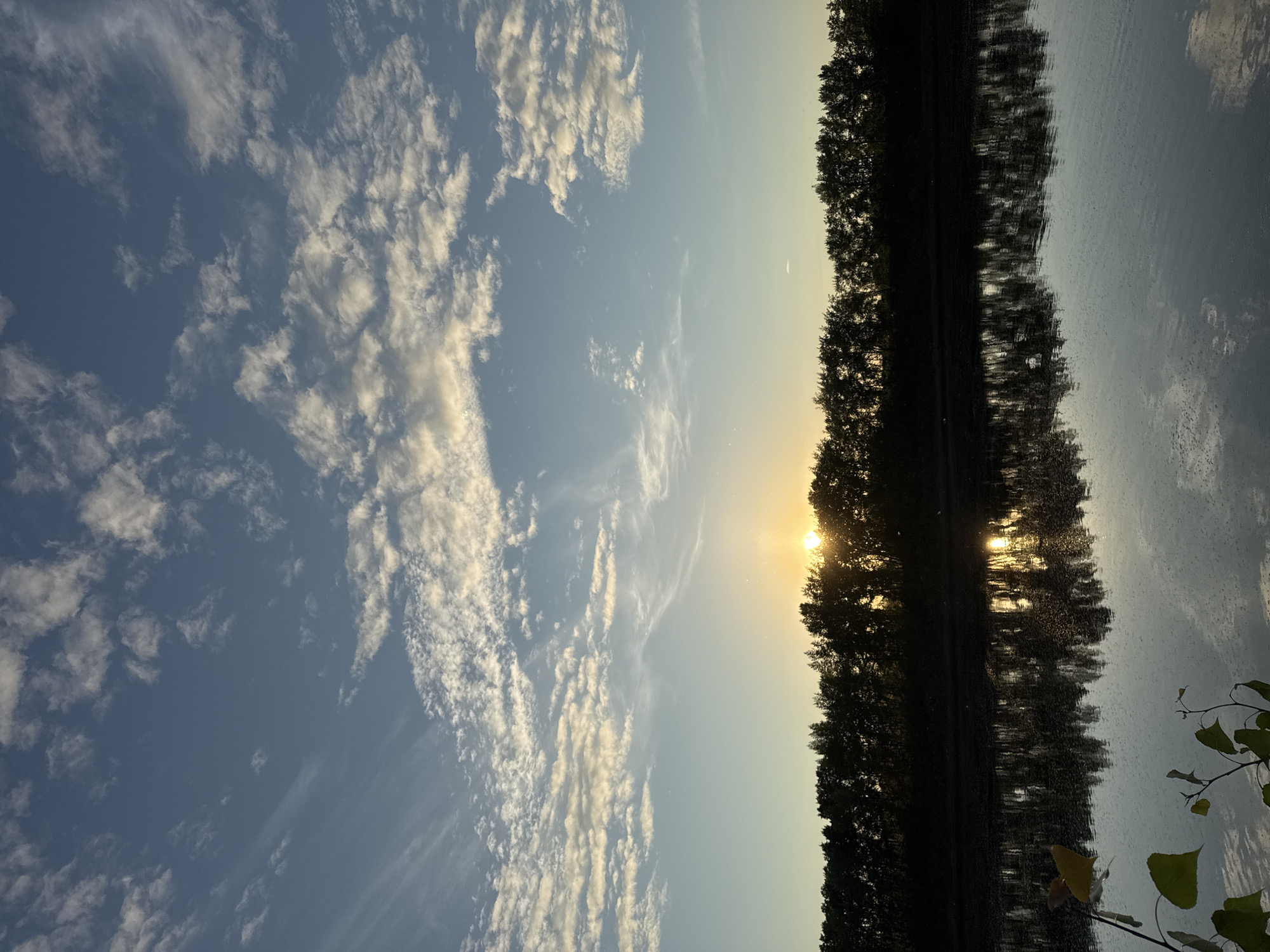 The scene, located in Chaikovsky, Russia, depicts a natural landscape at either sunrise or sunset. The upper portion of the image displays a blue sky, transitioning to a lighter tone near the horizon. It is populated by various cloud formations, including wispy, horizontally stretched cirrus clouds and scattered, brighter white and golden-tinged cumulus clouds. A circular, brilliant sun is positioned low on the horizon, slightly to the right of the vertical center, partially obscured by a dense line of trees. This treeline forms a continuous, dark silhouette spanning horizontally across the midground, separating the sky from the water below. The lower section of the image features a body of water reflecting the sky, the silhouetted treeline, and the sun. The sun's reflection appears as a distinct, elongated vertical streak of golden light on the water's surface, situated directly beneath its source. The water exhibits a slightly textured surface with minimal ripples. In the lower-left foreground, several green leaves and stems from an unidentifiable plant extend into the frame, partially overlapping the water's edge. No human figures, animals, or manufactured objects are discernible within the frame.
