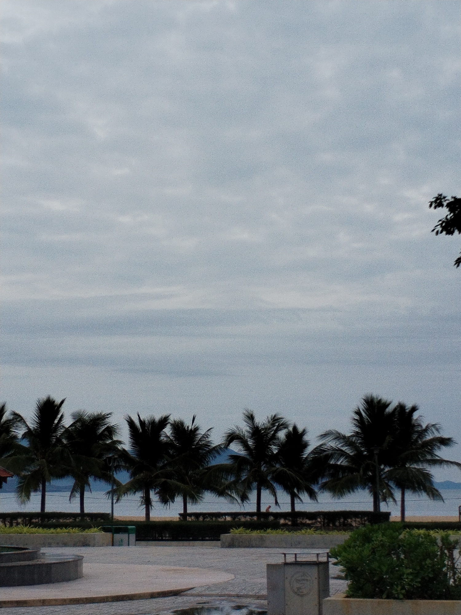 The image depicts a beach scene in Nha Trang Ward, Vietnam, under an overcast sky. A row of silhouetted palm trees lines the beach. A paved walkway is in the foreground with a low concrete structure and a green bush visible. In the background, there is a glimpse of the ocean and a distant landmass.