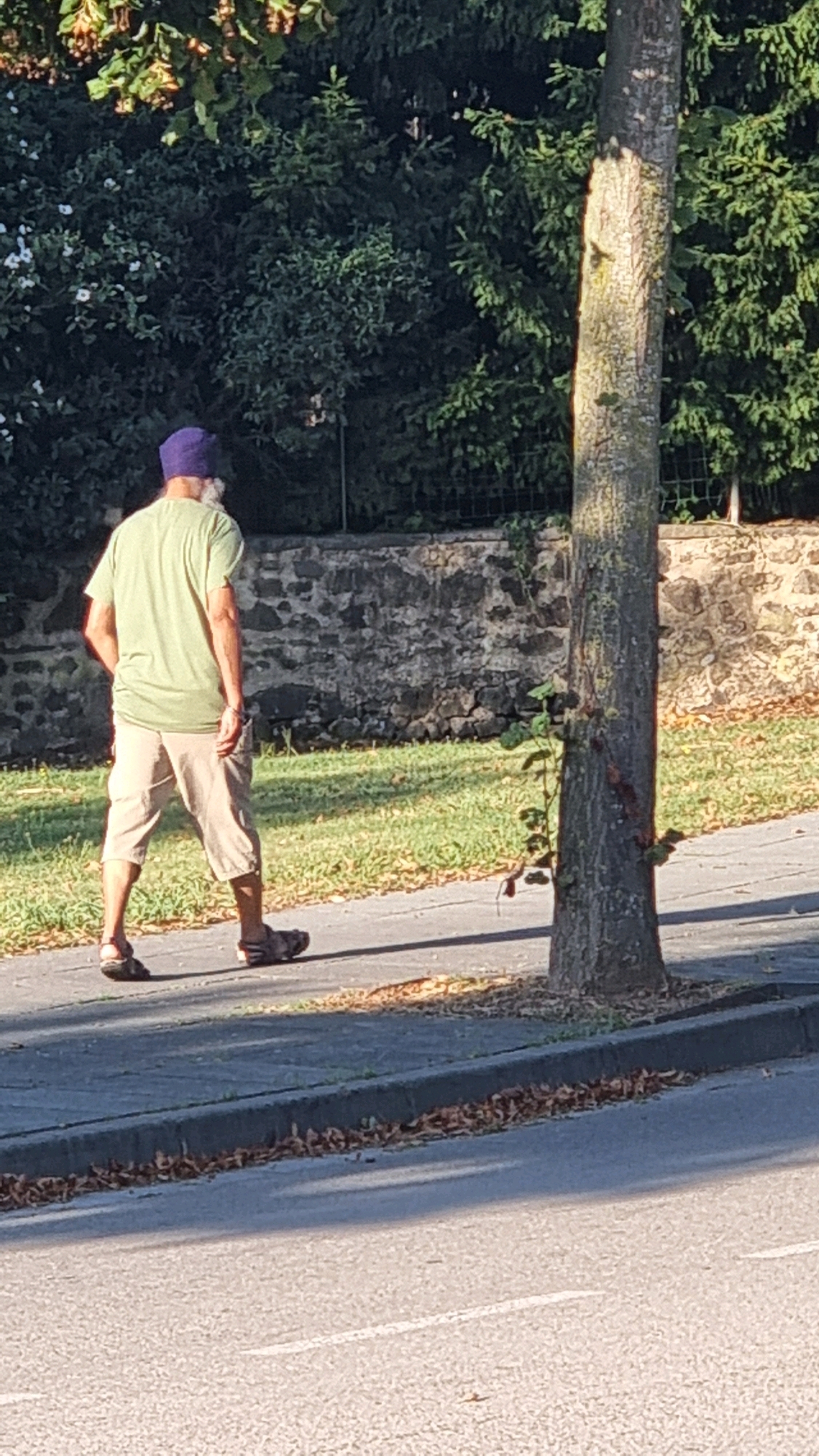 A person wearing a purple beanie, a light green t-shirt, and beige shorts walks away from the camera on a paved sidewalk. The person is also wearing sandals and appears to have a beard. Behind the sidewalk is a grassy area and a stone wall. To the right of the person is a tree trunk. The scene appears to be outdoors in what could be a park or residential area in Sant Joan les Fonts, Spain, given the vegetation and the stone construction. The lighting suggests it is daytime.