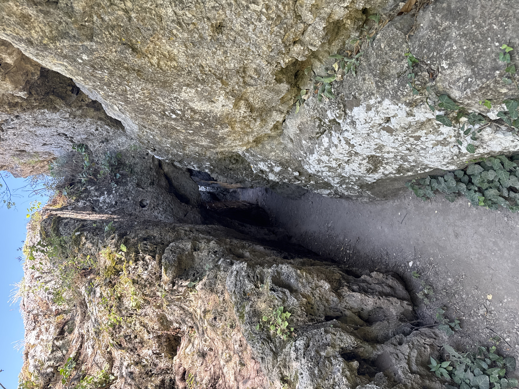 The image shows a narrow pathway winding between towering, rugged rock formations, characteristic of the natural canyon in Hotnitsa, Bulgaria. The rocks are textured and weathered, with patches of moss and small green plants growing in crevices. The path is unpaved, appearing to be dirt and gravel, and leads into a darker, more enclosed section of the canyon. The sky is visible at the top, a clear blue. There are no people or animals present in the scene.