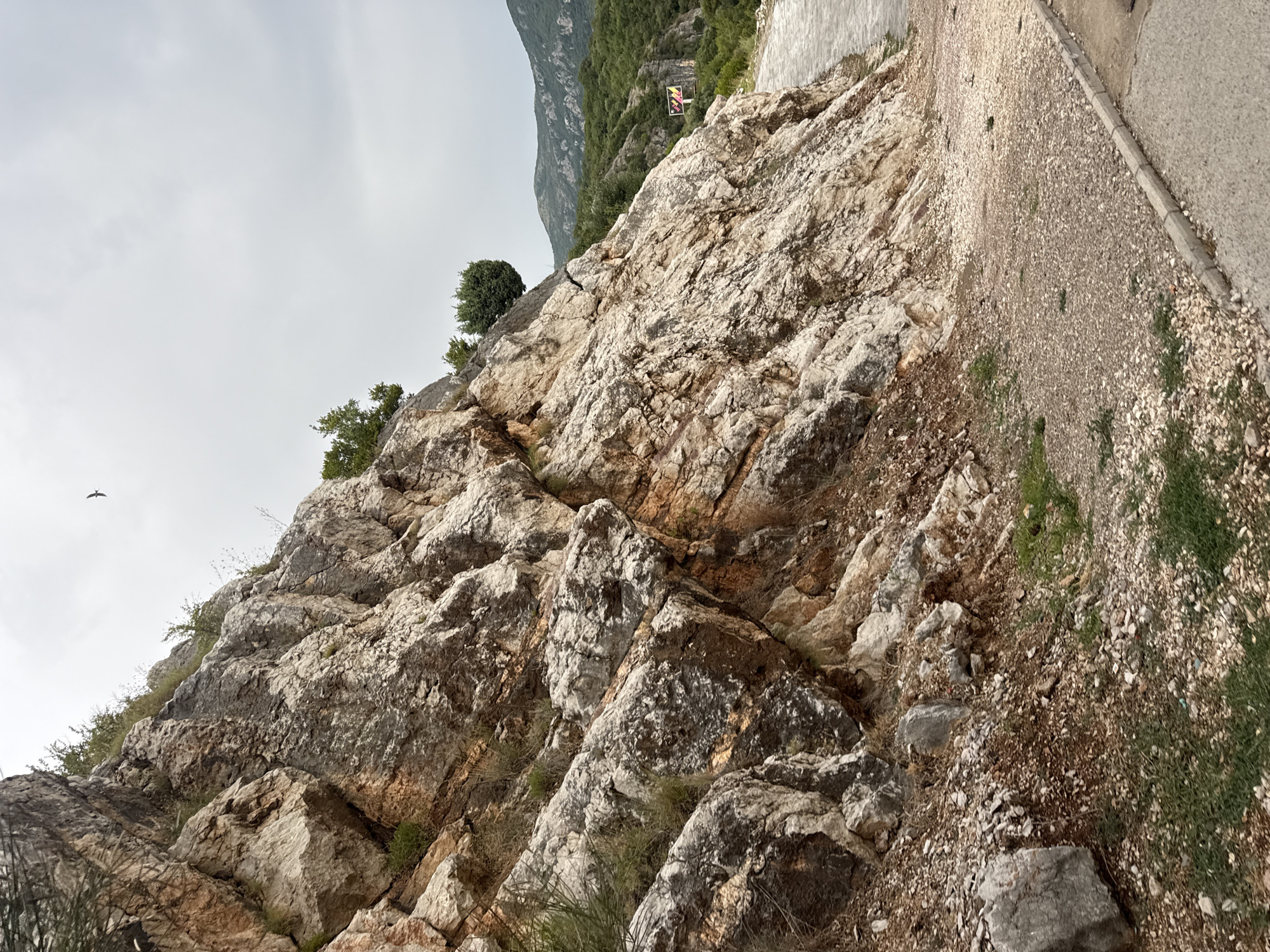 This media file depicts a rocky mountainside with sparse vegetation and a pathway or road running alongside it. The scene is characterized by the rugged texture of the rock formations, which vary in color from light gray to brown and ochre, suggesting mineral deposits or weathering. Small green shrubs and dry grasses are scattered across the rocks and the edge of the pathway, indicating a natural, possibly arid environment.
In the background, a forested mountain slopes upwards, meeting a hazy, overcast sky. A small, colorful billboard or sign is visible on the distant mountainside, its details indistinct. A solitary bird is captured in flight against the pale sky in the upper left quadrant of the image. The lighting suggests it is daytime, with the overcast conditions creating a diffused, somewhat muted atmosphere. The image is oriented vertically, tilting the perspective of the landscape. The overall impression is one of a natural, somewhat untamed environment adjacent to a man-made path. No people are visible in the frame.