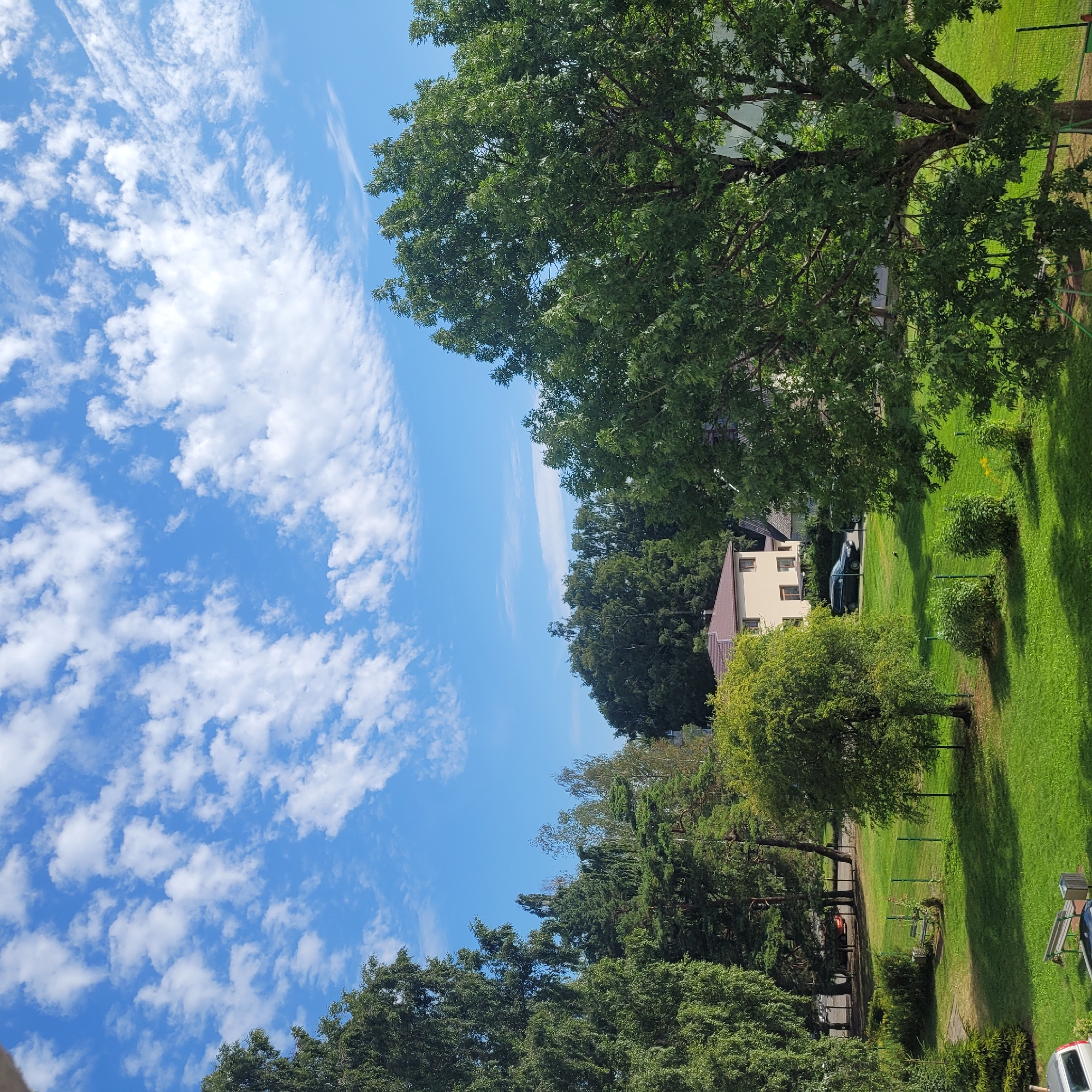 The image depicts a sunny day with a bright blue sky filled with scattered white clouds. In the foreground, a large, leafy green tree dominates the right side of the frame. To the left, a variety of other trees, some tall and slender, others more mature and broad, form a dense line. Beyond the trees, a beige residential building with a brown roof is visible, partially obscured by the foliage. A dark colored car is parked on a paved area in front of the building. A neatly manicured green lawn with a few bushes and park benches covers the area between the trees and the residential building. A green fence runs along the edge of the lawn. The scene appears to be a residential area in the city of Jūrmala, Latvia, likely a park or a residential complex. The lighting suggests it is daytime.