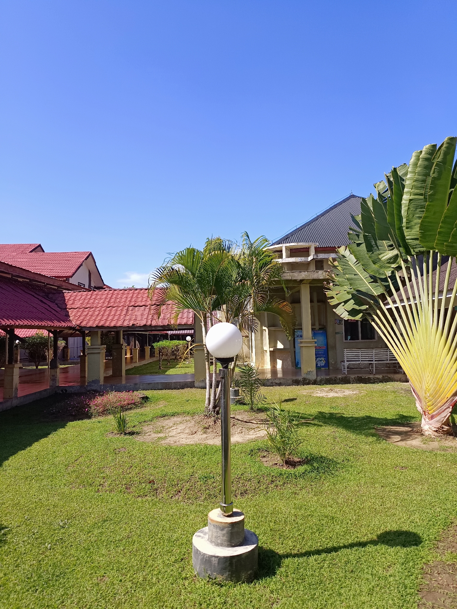 This image depicts a sunny outdoor scene with a clear blue sky and lush green grass. In the foreground, a modern lamppost with a white spherical light fixture stands on a concrete base, casting a distinct shadow on the lawn. Behind the lamppost, a pathway leads towards buildings with red tiled roofs, characteristic of Indonesian architecture. These buildings appear to be part of a complex, possibly a school or administrative center, with open walkways and supporting pillars.
To the right of the image, a large, fan-shaped palm tree with vibrant green leaves dominates the scene, its unique fronds fanning out against the sky. In the middle ground, more palm trees are visible, adding to the tropical ambiance. The buildings feature open-air covered walkways, with one section of the building showing a white bench and some informational posters on the wall. The overall environment suggests a well-maintained public space in a warm climate. The presence of the red-tiled roofs and the tropical vegetation strongly indicates a location within Indonesia. Based on the provided context, this scene is located in the city of Mesjid Reuntoh, Indonesia.