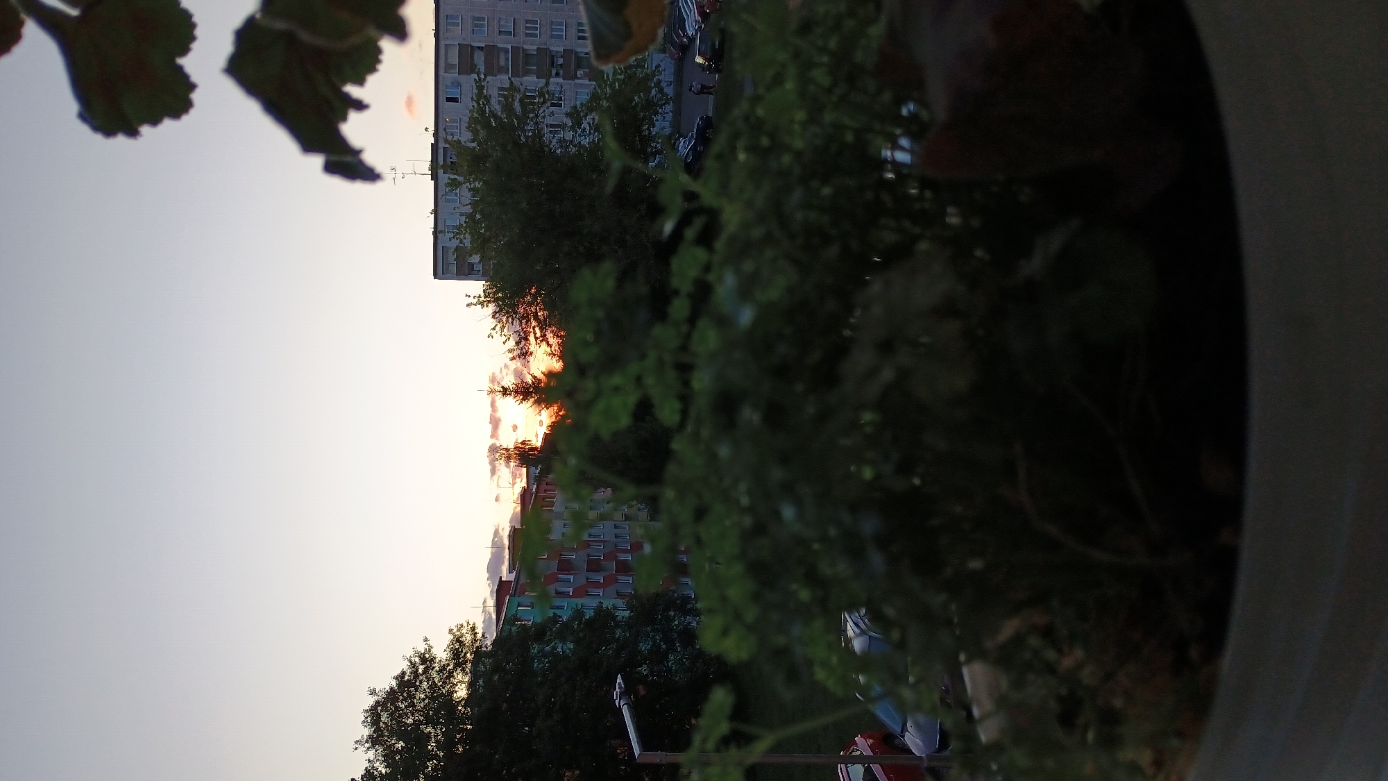 The image captures a sunset view over a residential area in Sokolov, Czechia. In the foreground, out-of-focus green foliage from a plant in a pot partially obscures the scene. Beyond the foliage, several multi-story apartment buildings are visible. One building in the center is painted in vibrant colors, including green, red, and blue, with white-framed windows. To the right, a larger, gray apartment building with numerous windows dominates the background. The sky displays a soft gradient of pale blue and light orange, indicative of sunset. The sun itself is partially visible, peeking through trees and creating a warm glow. A street lamp stands on the left side of the image, and parked cars are scattered across a paved area in front of the buildings. The overall impression is an urban evening landscape.