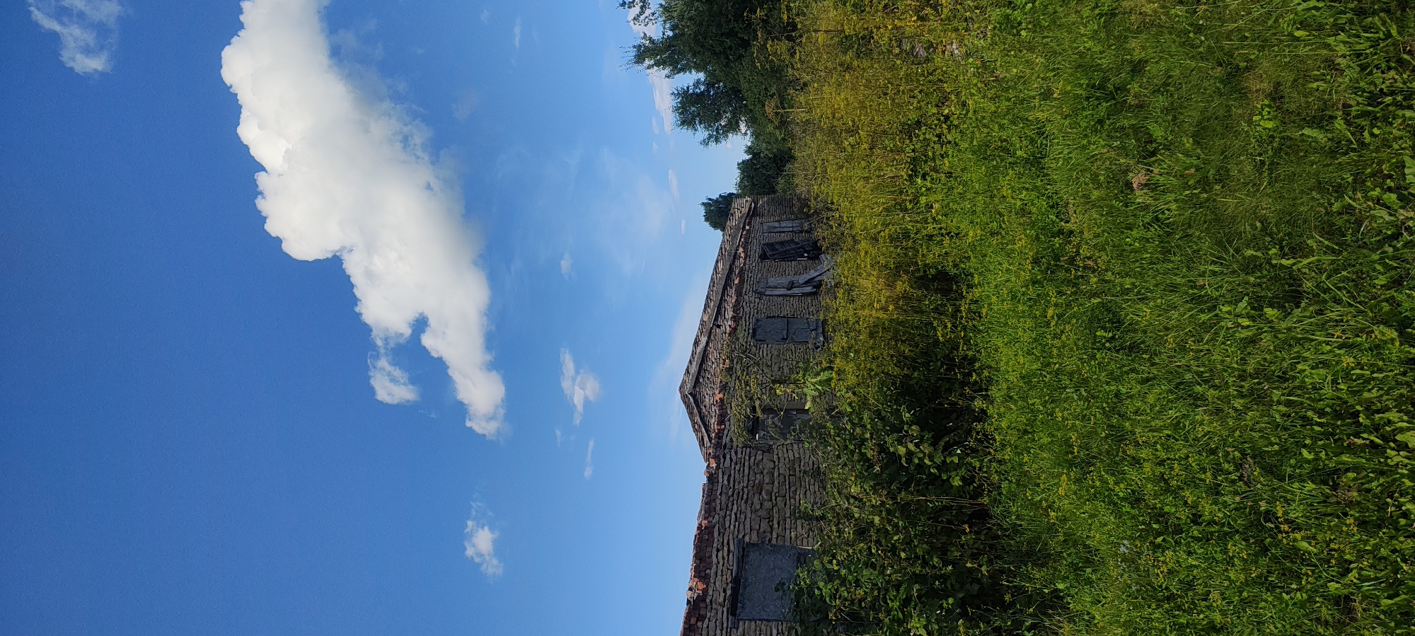 The image depicts an abandoned, single-story building made of stone in the village of Neelovo-1, Russia. The structure appears to be in a state of disrepair, with boarded-up windows and a damaged roofline. Overgrown vegetation, including tall grass and various plants, surrounds the building, partially obscuring its foundation. The sky above is a clear blue, with a few fluffy white clouds. The scene suggests an isolated and neglected location, likely in a rural or semi-rural setting. There are no people or animals visible in the image.