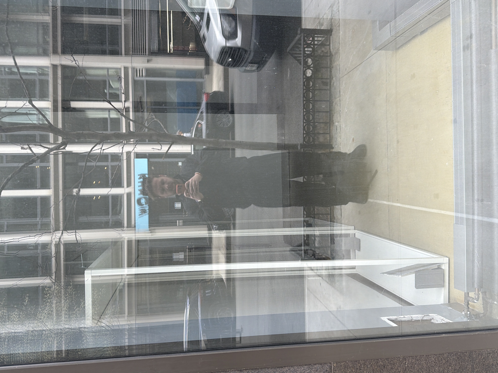 A view through a window reflects an urban scene in what appears to be New York City, USA. The window reflects a modern building with a grid-like pattern, suggesting an office or apartment building. A tree branch with bare limbs is visible, partially obstructing the reflection. A person is visible in the reflection taking a picture of the reflection. Additionally, a silver car is seen parked on the street. The street is a light gray color and has a metal grate. The angle of the image suggests that the photo was taken looking toward the building.