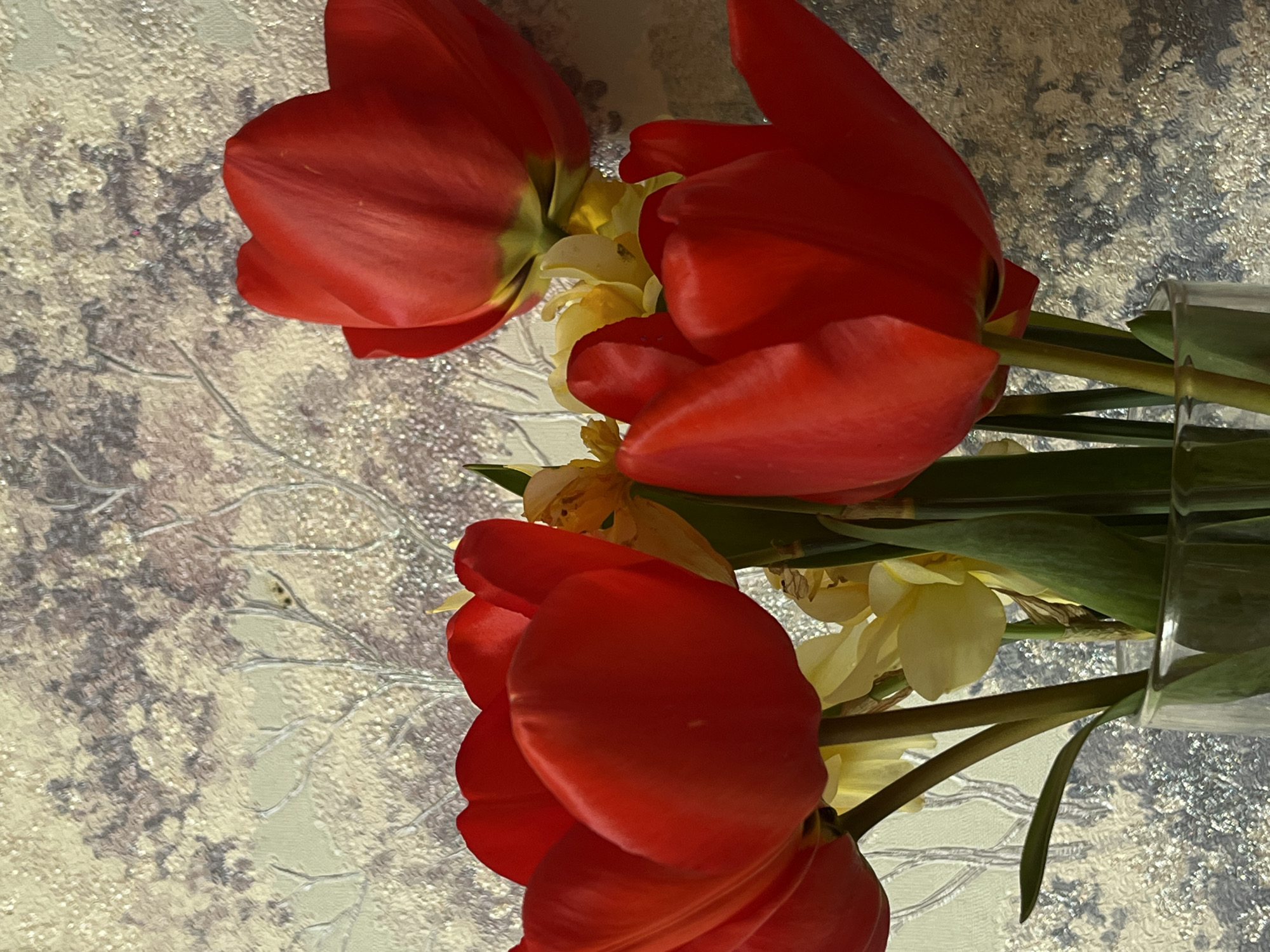 The image shows a bouquet of red tulips and yellow daffodils in a clear glass vase. The flowers are positioned on a surface with a patterned design in shades of gray, beige, and white. The background is slightly out of focus. The composition suggests a still-life arrangement. There is no visual information to verify the specific location of the image, so I cannot confirm if it was taken in Novopokrovskaya, Russia.
