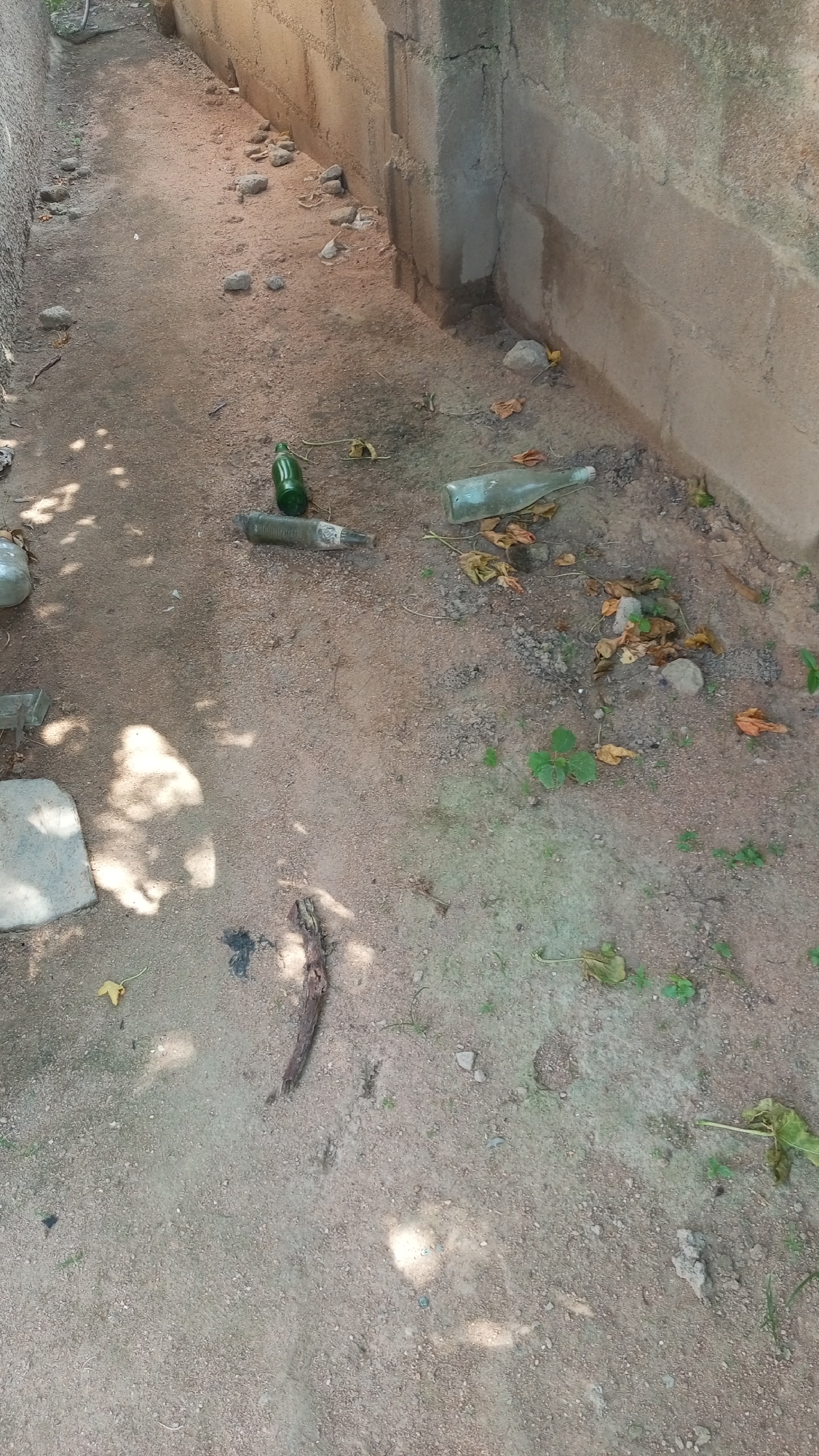 The image depicts an outdoor alleyway or narrow passage between two walls. The ground is covered in loose soil, sand, and small stones, with scattered dry leaves and a few small green plants growing in places.
In the foreground and mid-ground, there are several discarded glass bottles. One is a green bottle lying horizontally on the ground. Another is a clear or light-colored bottle lying next to it, also on its side. Further towards the left, there is a large, irregularly shaped light-colored object, possibly a piece of concrete or stone. A piece of dark, twisted wood or root lies in the lower center of the image.
The walls appear to be constructed from concrete blocks. The wall on the right is rough and uneven, with some staining. The wall on the left is partially visible and also appears to be made of concrete. Sunlight is casting dappled shadows on the ground, suggesting it is daytime.
The scene appears to be an unkempt, possibly neglected area. The presence of discarded bottles suggests human activity, but no people are visible in the image. The overall impression is one of a utilitarian outdoor space that has accumulated litter.
This scene is consistent with an area in Jalingo, Nigeria, which is a city with a predominantly hot climate and a mix of urban and semi-urban environments where such alleyways and litter are common. The rough construction of the walls and the type of ground cover are also typical of many areas in Jalingo.