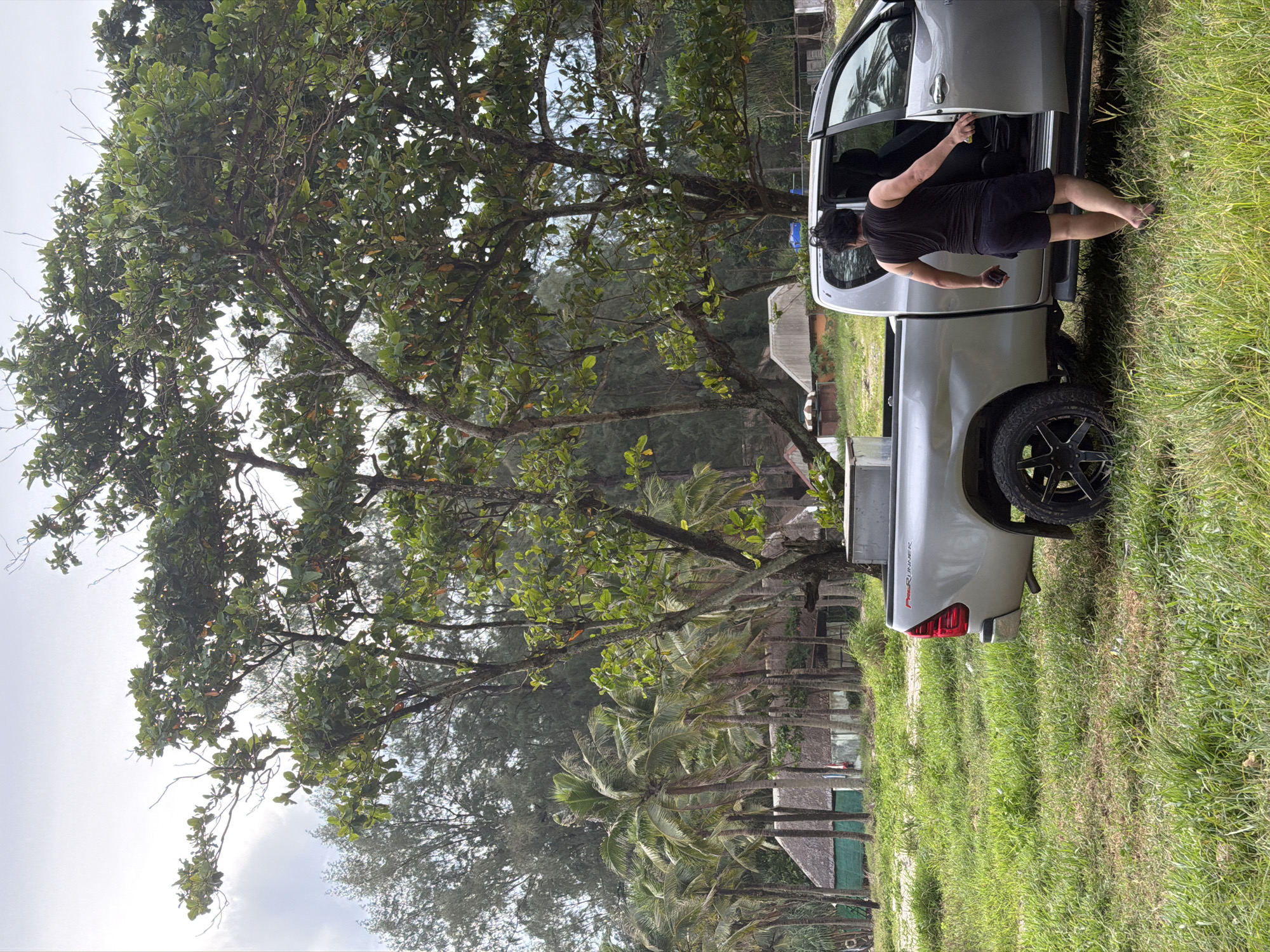 A person wearing a black t-shirt and dark shorts stands barefoot next to the open driver's side door of a silver pickup truck. The truck is parked on a grassy area with several palm trees and other lush green vegetation in the background. In the distance, there are some small buildings with thatched roofs, suggesting a tropical setting. The person appears to be reaching into the truck or holding something in their hand. The sky is overcast, indicating a cloudy day. The scene appears to be a casual outdoor setting, possibly near a beach or resort. The text "PRE-RUNNER" is visible on the side of the truck bed.