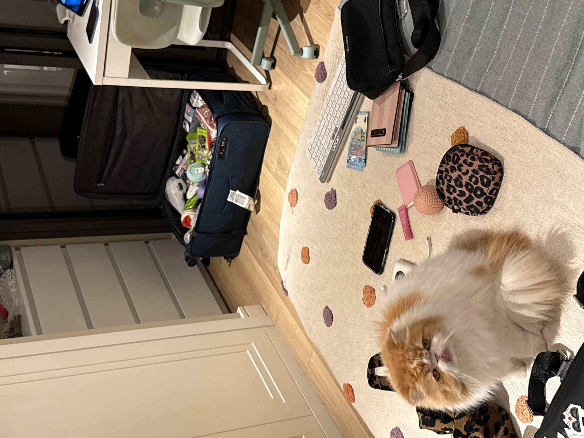 A cluttered room scene: an open, partially packed suitcase sits near a white desk and rolling chair, indicating possible travel preparations. A tan rug patterned with colored dots forms the foreground, on which rest a white keyboard, a black shoulder bag, a pink wallet, currency, a pink makeup compact, a lipstick, a black smartphone, wireless earbuds, and a leopard-print cosmetic bag. A fluffy, long-haired cat, predominantly white with patches of orange, occupies a prominent position on the rug. A white cabinet with horizontal grooved detailing stands against the left side. The location is a room interior, possibly a home or hotel. There is no conclusive evidence indicating that the scene is in Barcelona, Spain.