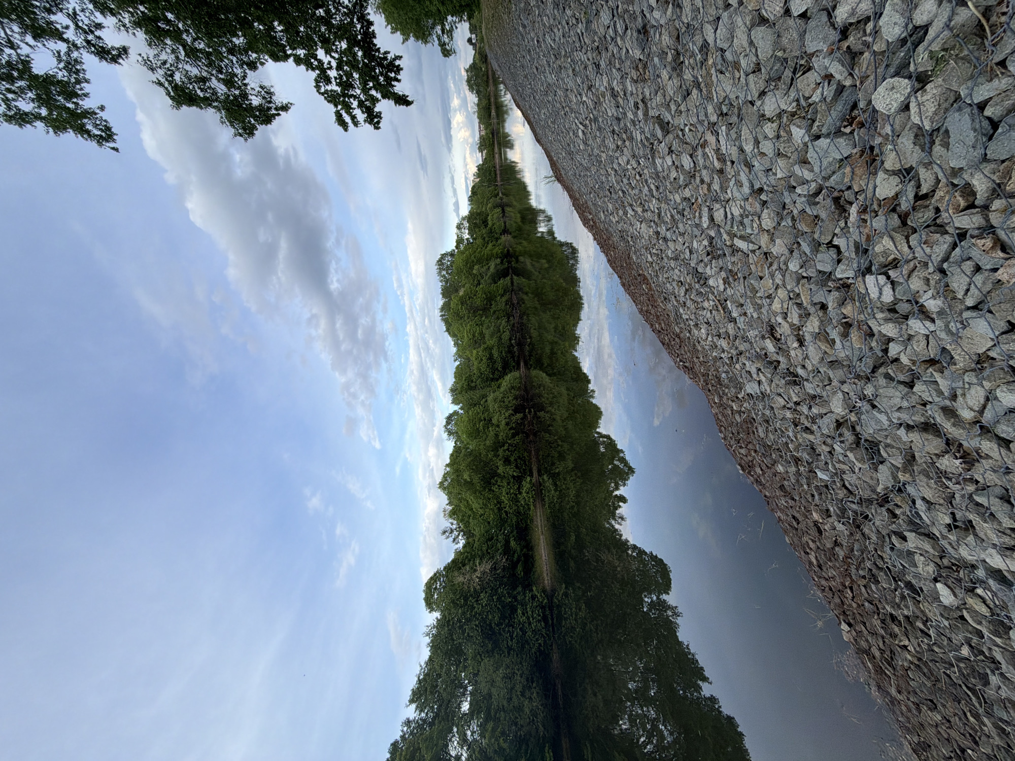 The image presents a tranquil outdoor scene, likely a canal or river, set in Birobidzhan, Russia. The composition is horizontally oriented, with a long, narrow body of water stretching from the foreground into the distance.
On the left bank, a dense line of lush green trees forms a prominent feature, extending far into the background. Their foliage is thick and vibrant, casting reflections onto the calm surface of the water, which mirrors the trees and the sky. Branches of other trees partially frame the upper left corner of the scene.
On the right side of the waterway, a sturdy gabion wall is visible, constructed from numerous grey stones held within a wire mesh structure. This man-made barrier runs parallel to the water. The water between the trees and the gabion wall appears calm and slightly dark, reflecting the subdued light from the sky.
The sky above is partially cloudy, displaying patches of light blue sky interspersed with soft, white and grey clouds. The overall lighting suggests it is daytime, possibly a calm afternoon or early evening. There are no people or discernible activities taking place, creating a peaceful and serene ambiance. No text is visible in the image.