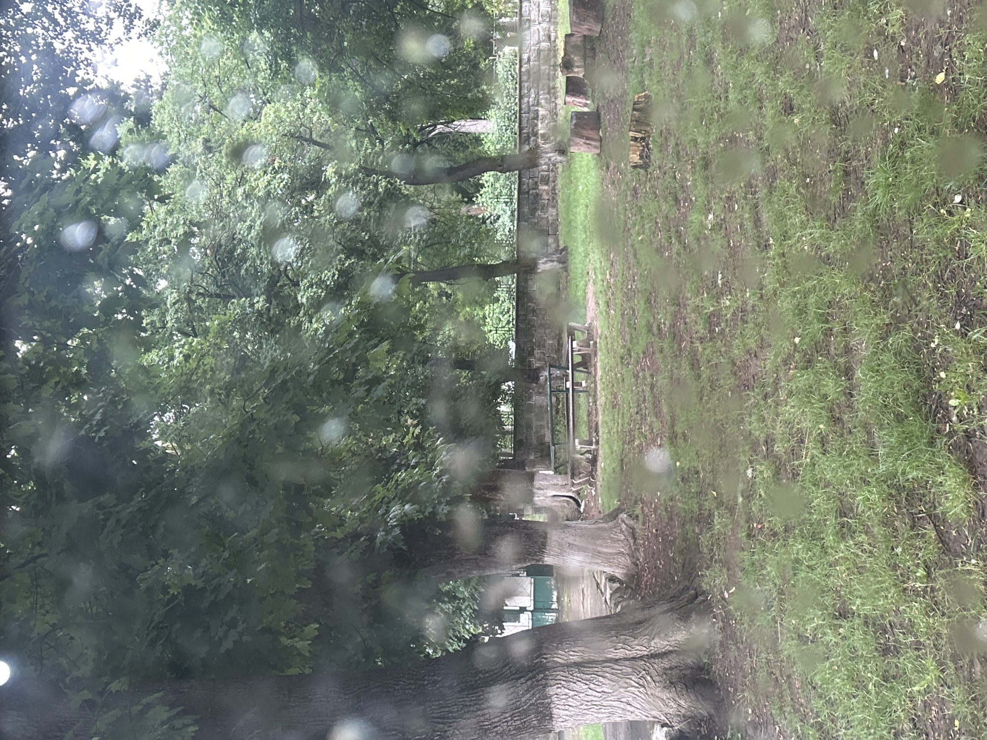 This image depicts an outdoor scene, likely a park or a communal area, in the village of Obretenik, Bulgaria. The foreground is dominated by a grassy area with patches of exposed earth, suggestive of recent or ongoing foot traffic. Several large tree stumps, some weathered and others appearing more recently cut, are scattered across the ground, with one particularly prominent stump in the lower right quadrant.
In the middle ground, a wooden picnic table with benches is visible, suggesting a designated area for rest or recreation. Behind the table, a low, stone-built wall runs horizontally, separating the grassy area from a backdrop of lush green trees. The trees are mature, with thick trunks and dense foliage, creating a canopy that filters the light. A few of these trees have their lower trunks painted white, a common practice in some regions to protect them.
Further in the background, a building with a green and white facade is partially visible between the trees on the left, adding a residential or civic element to the scene. A wrought-iron fence separates the area from more distant vegetation. The overall atmosphere is one of a quiet, somewhat rustic, public space, possibly within a residential or village setting, and the presence of water droplets on the lens indicates the image was taken during or shortly after rainfall.