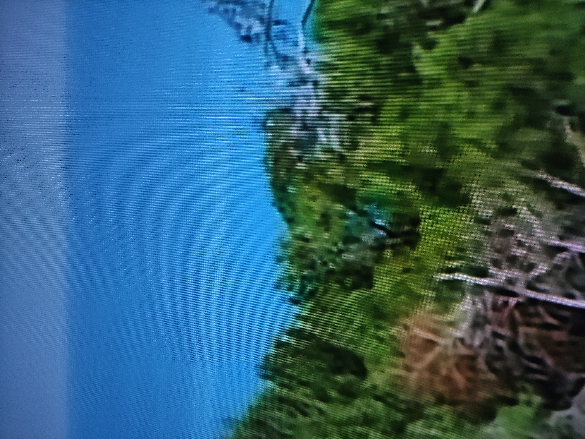 The image shows a blurry aerial view of what appears to be a shoreline. On the left is a body of water, possibly a river or lake, with a blue color. On the right, there's a landmass covered in greenery, likely trees and vegetation. The image quality is poor, making it difficult to discern specific details. Based on the location provided (Pavlodar, Kazakhstan), it could potentially be a view of the Irtysh River and its surrounding banks. However, the blurriness makes positive identification challenging.