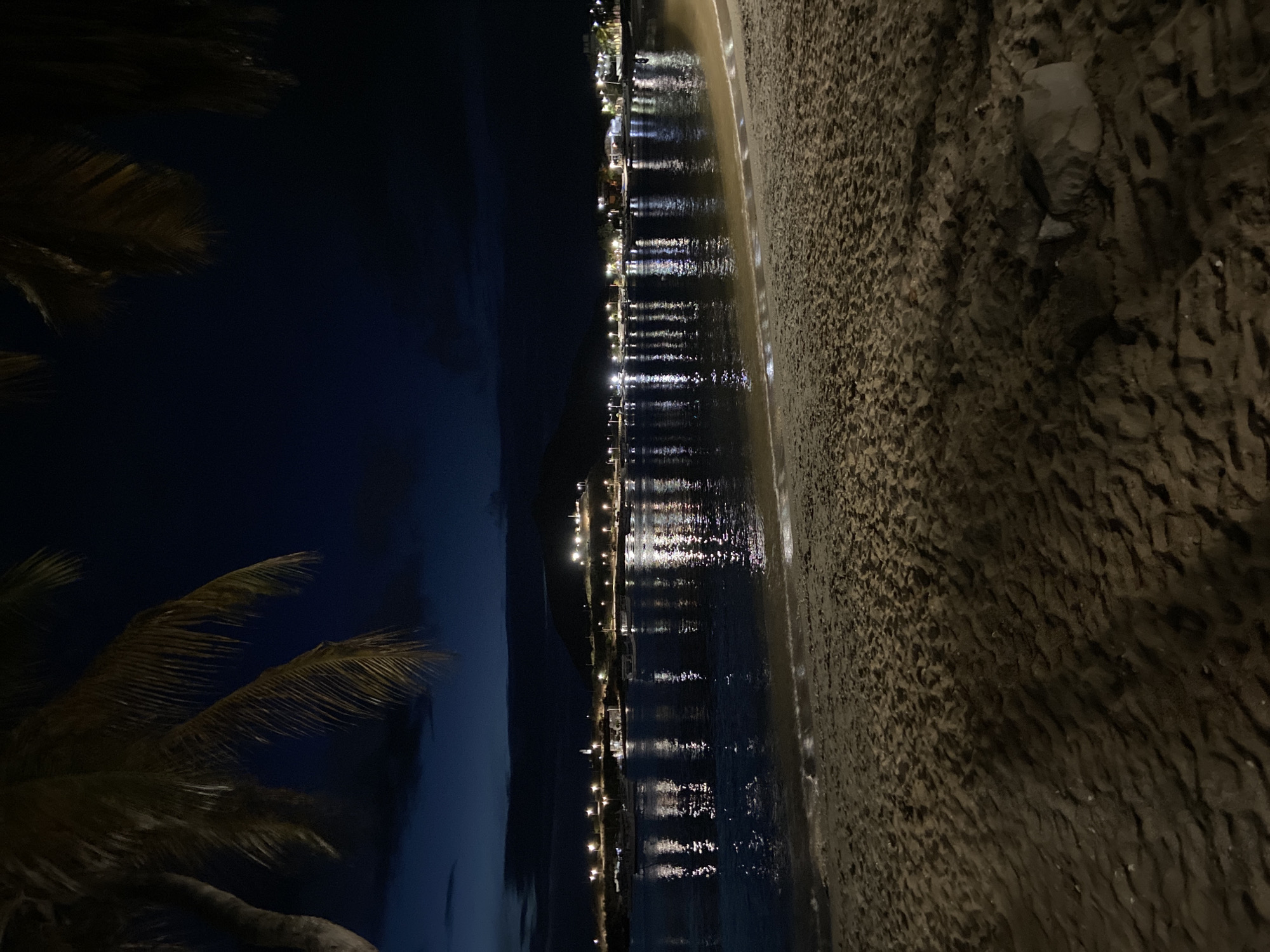 A nighttime scene at a beach in Juan Griego, Venezuela, shows a sandy shore in the foreground with a calm body of water reflecting lights from a distant town. Palm fronds frame the upper left and right corners of the image. The town, illuminated by numerous streetlights and building lights, stretches along a bay. Several boats are moored in the water. The sky is dark blue with some subtle cloud formations. The overall impression is one of a peaceful, coastal town at night.