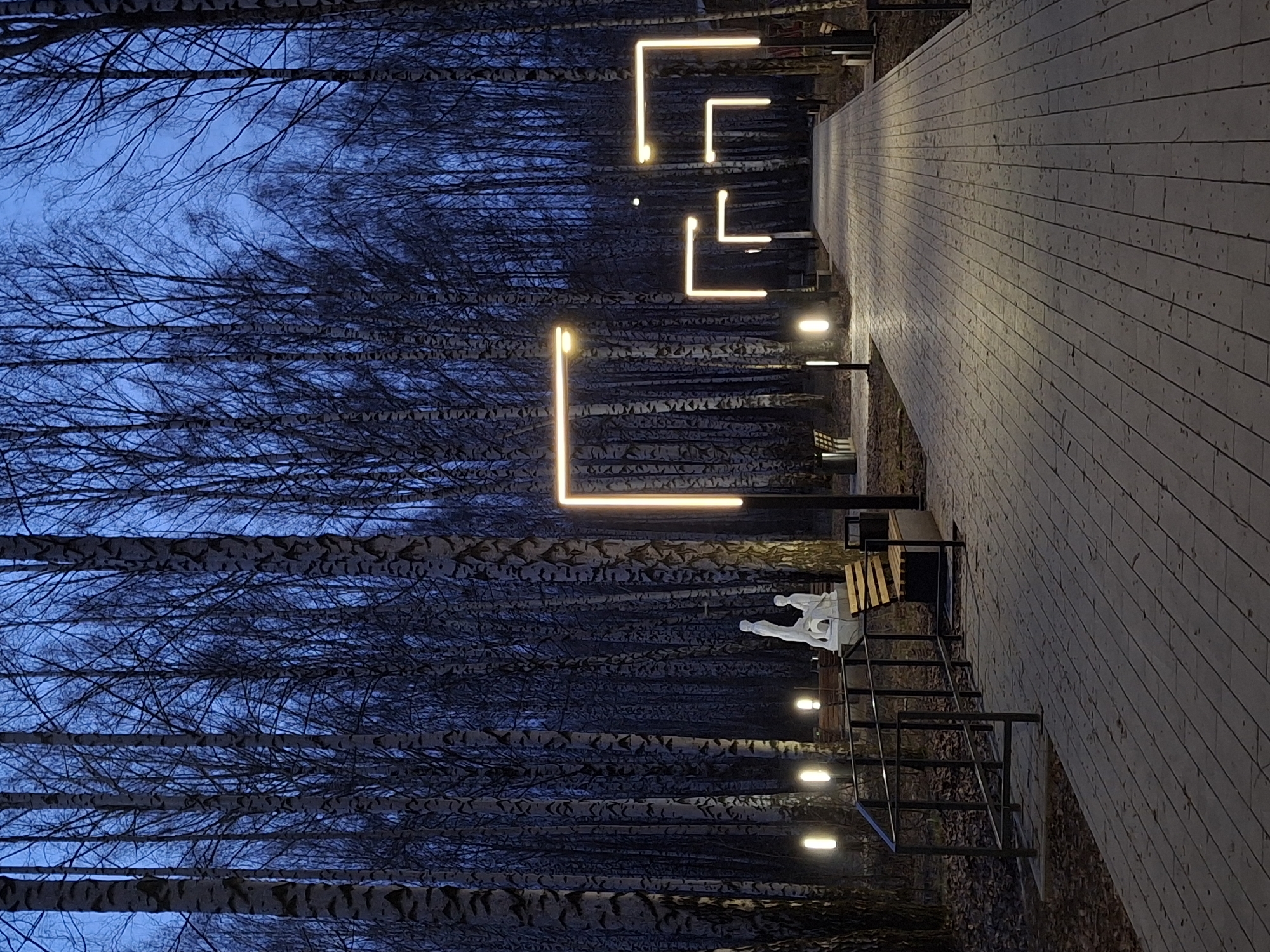 The image depicts a pedestrian walkway in Chaikovsky, Russia, at dusk or night. The walkway is constructed of light-colored planks and lined on one side by a dense stand of birch trees. The trees are leafless, their white trunks and dark branches contrasting sharply against the darkening blue sky. Illuminating the path are a series of modern, geometric light fixtures that resemble open squares and rectangles. Benches are spaced along the walkway. A sculptural element is visible on one of the benches. The scene is still and quiet, capturing an urban park environment during the colder months.