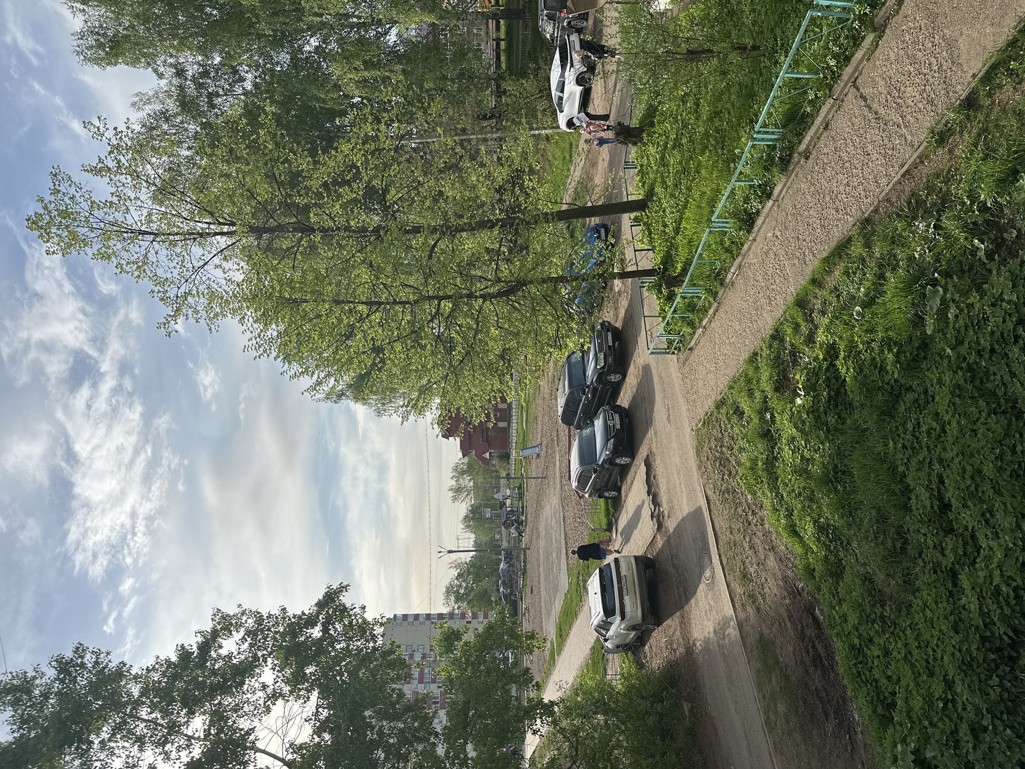 The photograph shows an outdoor scene in Chaikovsky, Russia. A line of parked cars extends into the distance on a dirt road adjacent to a sidewalk with a blue railing. Trees with green foliage are visible throughout the scene, with some in the foreground and others lining the road. The sky is partly cloudy. In the foreground, a white car is parked. Further down the road, a person is standing near a group of parked dark-colored vehicles. In the distance, buildings and a playground are visible. The sidewalk runs parallel to the road and has overgrown grass on either side.