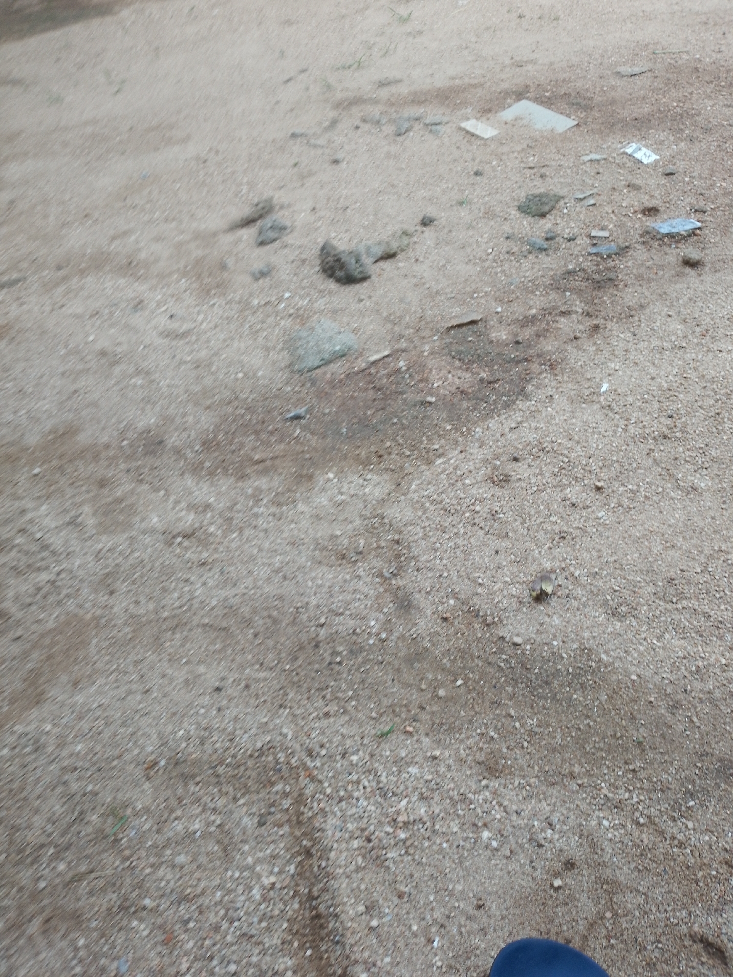 The image is a close-up, ground-level perspective of a sandy or gravelly surface. The surface is uneven and scattered with small stones and pebbles, as well as a few larger rocks. There are also several flat, rectangular objects, possibly pieces of tile or pavement, dispersed across the ground. In some areas, there are darker patches, suggesting moisture or dirt. A portion of a blue object, likely a shoe or a piece of footwear, is visible in the bottom right corner of the image. The scene appears to be outdoors, possibly in an undeveloped area or a construction site. There are no discernible people or animals. The overall impression is one of an unkempt or transitional outdoor space.
