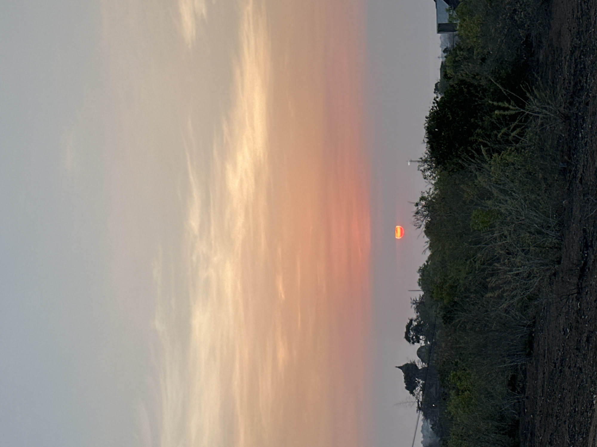 The image depicts a sunset over a landscape that appears to be Kuta Selatan, Indonesia, characterized by its tropical vegetation and possibly some residential structures in the distance. The sky transitions from a pale blue at the top to soft oranges and pinks as it approaches the horizon, indicating the sun is setting or has recently set. A portion of the sun, appearing as a bright orange disc with a reddish glow, is visible near the horizon.
In the foreground, there is a dense collection of dry, brush-like vegetation and some darker, more mature trees. The ground in the immediate foreground is dark and appears to be soil or possibly ash, suggesting a natural or rural setting. Silhouetted against the sky on the left side of the image is a distinctive rock formation or structure, possibly part of a temple or a natural landmark. Beyond the vegetation, faint outlines of buildings and possibly utility poles are visible, suggesting the presence of a town or settlement. The overall atmosphere is serene and evokes the end of the day in a tropical environment.