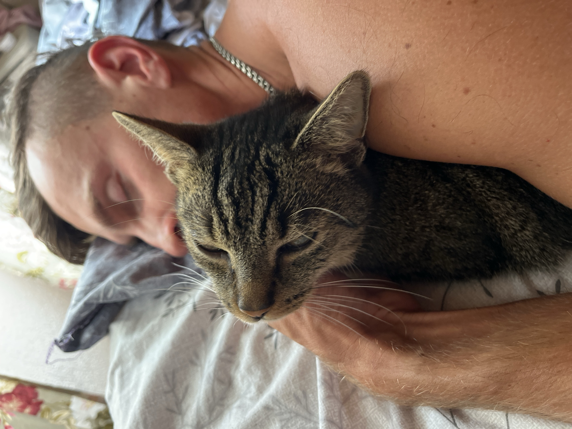 A shirtless person is sleeping in bed, with a tabby cat curled up against their chest. The person's eyes are closed, and their head is turned to the side. The cat is looking up and to the left, with its mouth slightly open and whiskers showing. The bed is covered in a white sheet with a gray pattern. A curtain with a floral pattern is visible in the background. The scene is likely indoors, possibly in a bedroom. The location is not specified in the image itself.