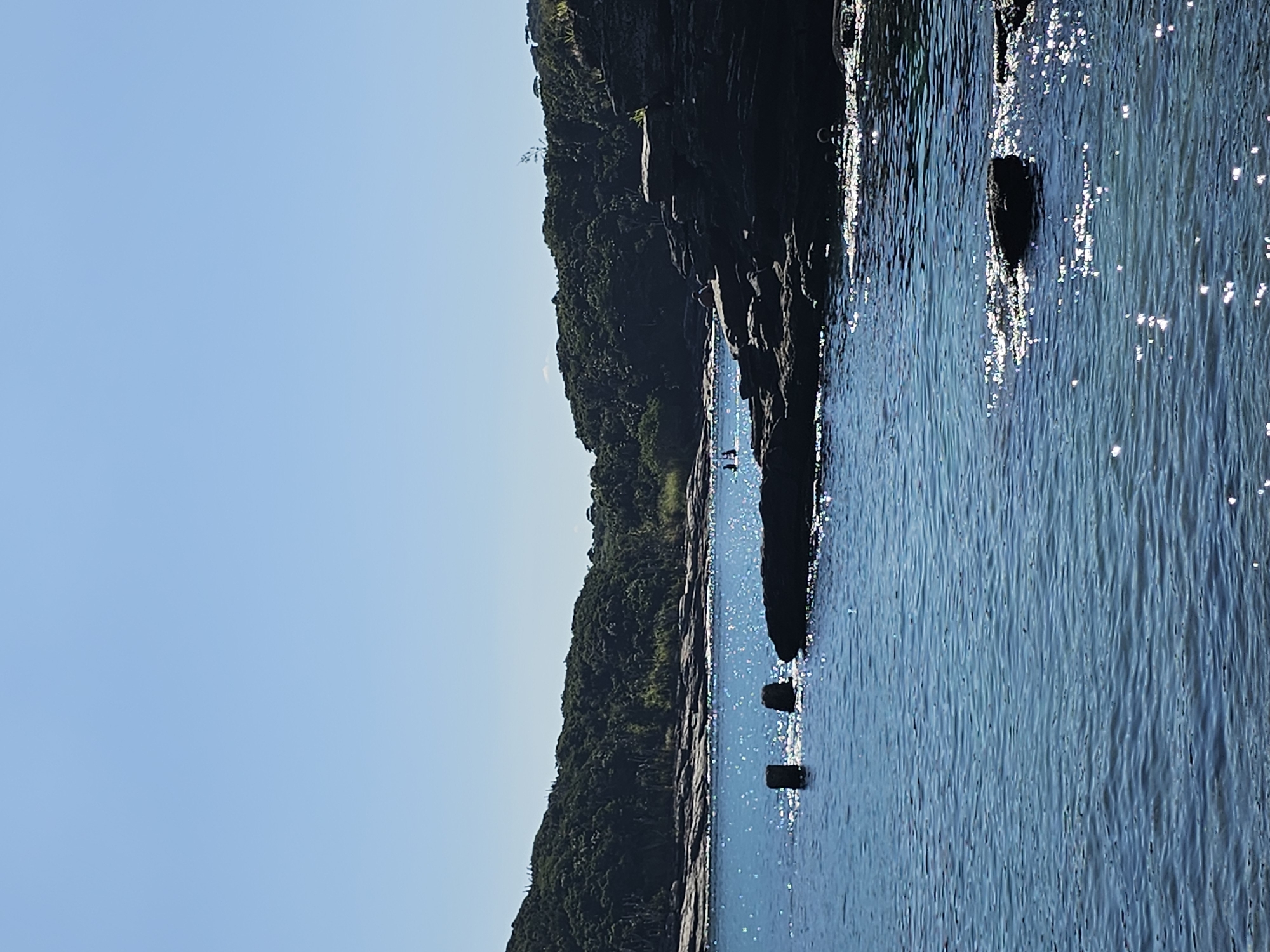 The image captures a coastal scene in Armação dos Búzios, Brazil, displaying a rocky coastline bordering the ocean. The landscape consists of a land covered with dense, lush vegetation. The sea, shimmering with sunlight, stretches out to the right. Three cylindrical concrete structures stand partially submerged in the water near the shoreline. Farther in the distance, two figures are visible in the sea, appearing to be wading or swimming. The sky above is clear and blue. The image has been rotated 90 degrees counterclockwise.