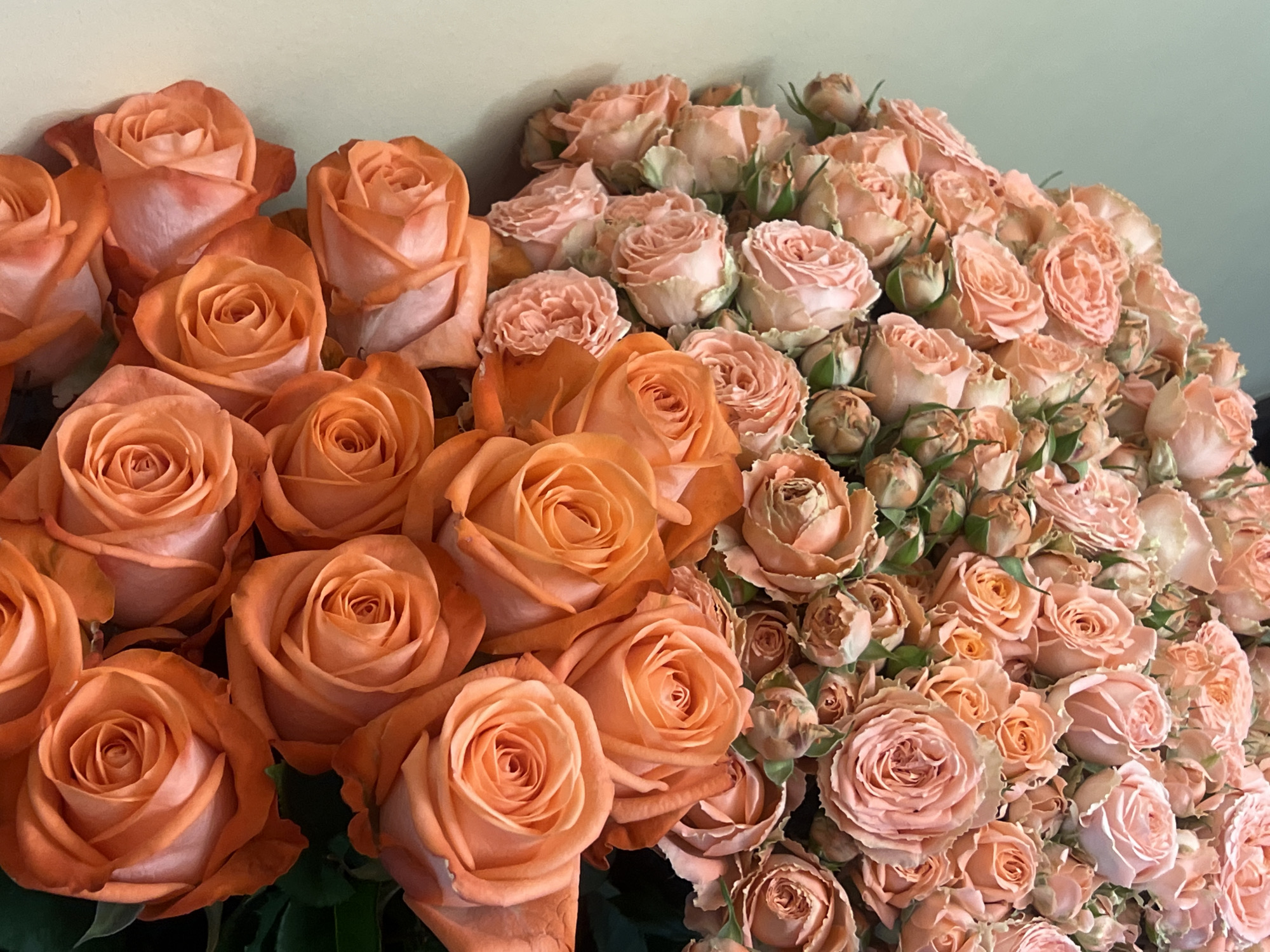 The image shows an arrangement of roses. On the left side are larger roses in a deeper orange hue. To the right are smaller roses in a lighter peach/pink color. The background appears to be a solid light-colored wall. There are no people visible in the image.