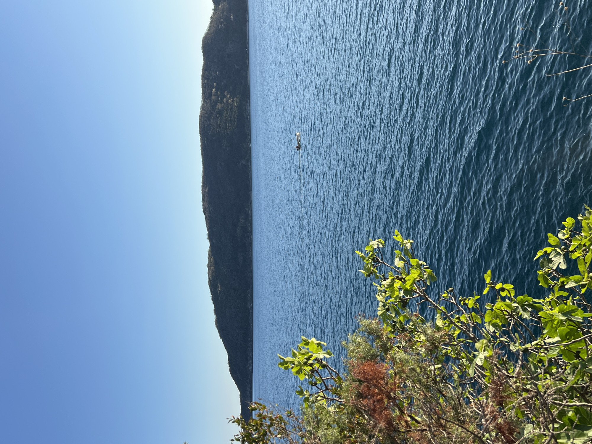 The image shows a waterscape with a visible coast on the left side, possibly a mountain range. The water is blue and slightly rippled, and in the center of the frame is a lone figure, likely a paddleboarder or swimmer. The foreground includes foliage with green leaves and some brown, dry patches, suggesting a natural, possibly coastal, environment. The sky is clear and blue. Given the mention of Budva, Montenegro, this could be a scene along the Adriatic coast, capturing the natural landscape with a solitary activity on the water.