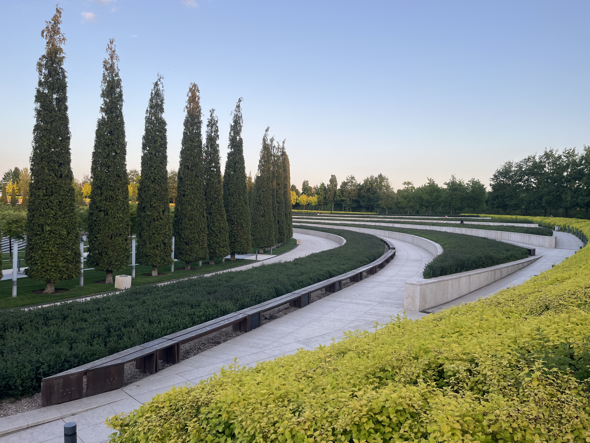 The image shows a landscape scene in Krasnodar, Russia, likely in a park. The scene includes a winding concrete path, flanked by parallel rectangular sections filled with low green shrubbery. The path also has built-in wooden benches. A row of tall, slender evergreen trees stands to the left of the path. In the foreground are bright yellow shrubs. The sky is clear with a pale blue color. Other trees are in the background.