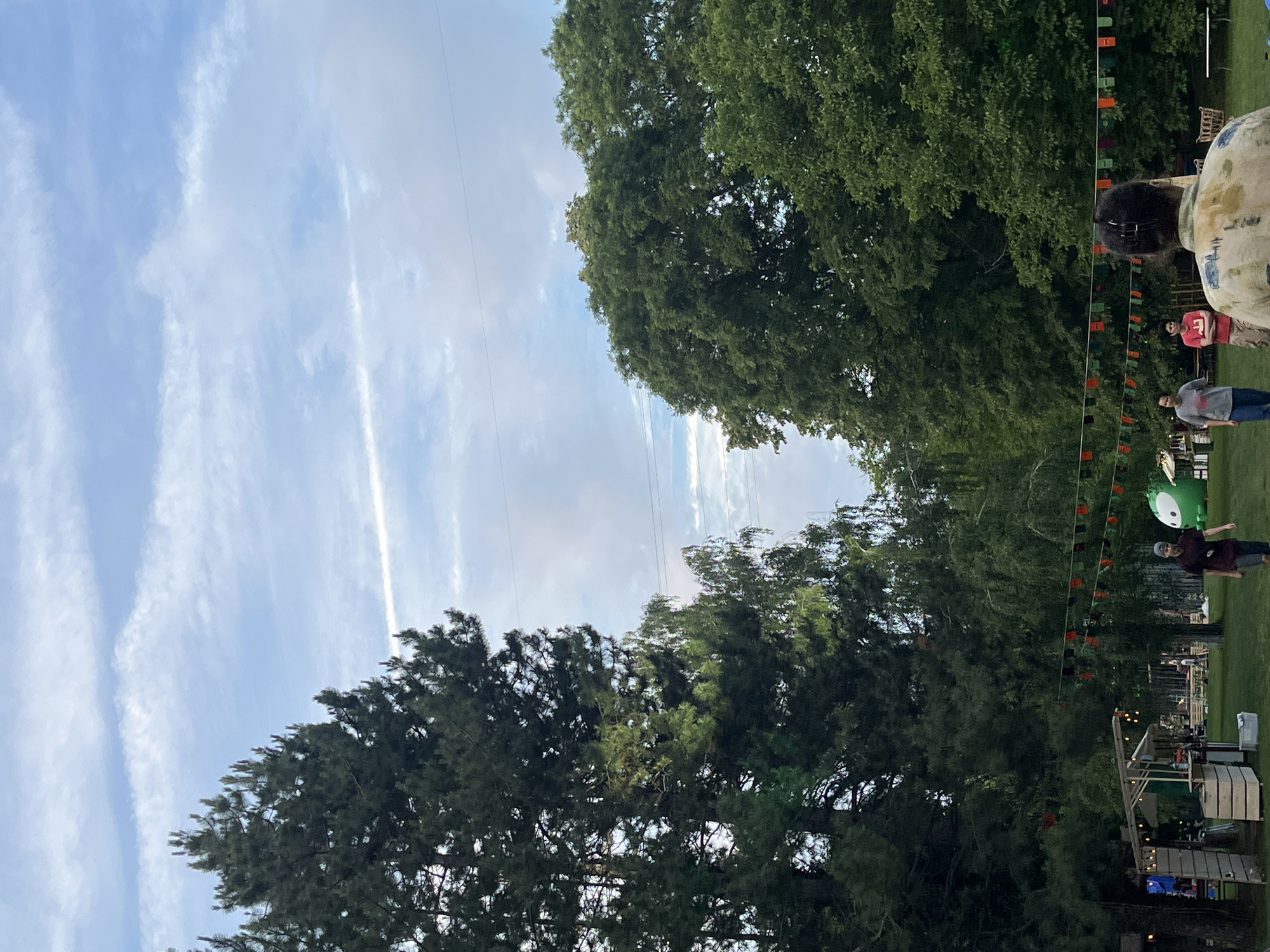 The image depicts an outdoor event taking place in the Sremski Karlovci Municipality, Serbia, under a clear to partly cloudy sky. The upper half of the frame is dominated by a light blue sky with scattered white, wispy clouds. A prominent, thin white contrail streaks diagonally from the upper-left towards the mid-right. Multiple power lines or communication cables are visible horizontally in the upper-right quadrant, just below the tree line.
Dense, dark green foliage from numerous trees frames the scene. Tall coniferous trees with visible needle clusters occupy the entire left side of the image, extending out of view at the top. On the right, equally tall, full-leafed deciduous trees form a solid green backdrop, with lighter green trees visible in the distance through a gap in the center.
The lower half of the image showcases a flat, grassy area, serving as the event ground. A string of decorative pennant flags, alternating in colors such as red, orange, and green, stretches horizontally across the mid-ground, approximately at chest height relative to the people. On the far left, several temporary market stalls or booths are set up. One prominent stall features a light-colored wooden frame, a canopy, and warm-toned string lights. Wooden crates are used as bases for some of these structures. To the right, behind the line of pennants, a large, bright green inflatable object, resembling a cartoon character with distinct white eyes, is positioned on the grass. Further back, under the trees, indistinct structures or seating areas are visible.
Multiple individuals are present in the scene. In the immediate foreground, with their back to the camera, a person with dark hair secured by two clips or ties wears a light-colored, short-sleeved shirt with a faint pattern. In the mid-ground, from left to right: a person in a gray t-shirt and blue jeans walks towards the right; a person in a red t-shirt and khaki bottoms stands with arms crossed, facing generally rightward; and a person in a blue long-sleeved shirt and blue jeans walks towards the left, looking slightly downwards. Several other indistinct figures are scattered throughout the background, indicating more attendees at the outdoor gathering.