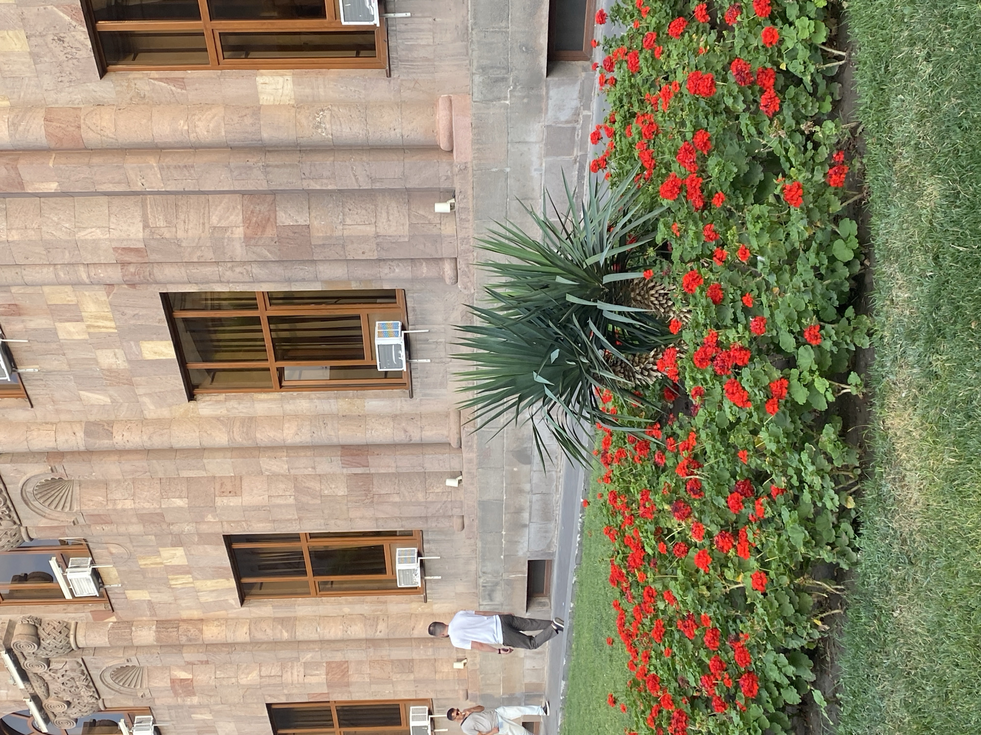 The photograph captures a section of the National Academy of Sciences of Armenia in Yerevan. The foreground is dominated by a vibrant bed of red geraniums, with lush green foliage. A large, spiky yucca plant stands to the right of the flowerbed, partially obscuring the building's lower facade. The building itself is constructed of light-colored stone with ornate architectural details, including columns and arched windows. Several windows with dark wooden frames are visible, some equipped with air conditioning units. Two men are walking along a paved walkway in front of the building. One man, on the left, is wearing a light-colored t-shirt and light pants and is looking towards the left. The other man, in the center, is wearing a white t-shirt and dark pants and is walking away from the camera. The scene is bathed in natural daylight, suggesting it was taken during the daytime.