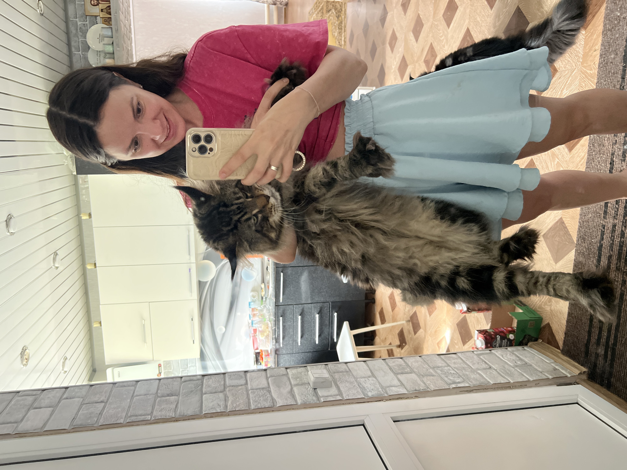 A young woman is taking a mirror selfie in what appears to be a kitchen. She is holding a large, fluffy, long-haired cat, likely a Maine Coon, in her arms. The woman is wearing a bright pink t-shirt and a light blue skirt. The cat is predominantly grey and brown with distinctive tabby markings. In the background, kitchen cabinets and appliances are visible. The flooring is a light brown linoleum with a tiled pattern. A doorframe with a brick-patterned wall covering is to the left of the image. There is another cat, mostly black with grey markings, visible in the lower right corner of the image. The scene is indoors, likely in a residential setting.