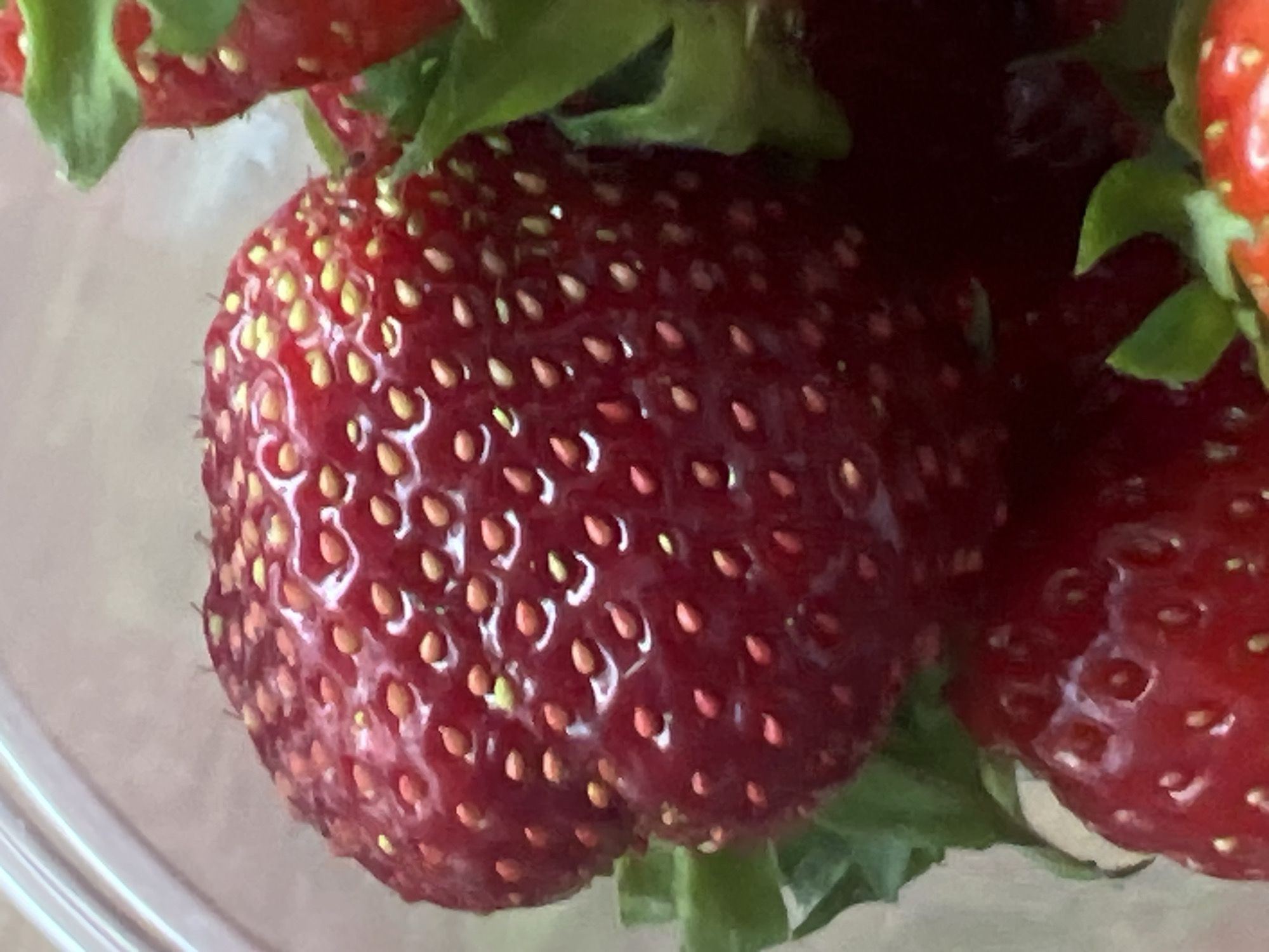 This is a close-up, high-angle, eye-level shot of several ripe strawberries, likely in Votkinsk, Russia. The strawberries are a deep red color with visible yellow seeds. The fruit appears fresh and plump, with a glossy sheen, suggesting they have recently been picked or are being presented for consumption. The focus is sharp on the texture and details of the strawberries, with the background softly blurred, indicating a shallow depth of field. Hints of green leaves are visible, framing some of the strawberries and adding a natural element to the composition. The lighting appears to be diffused natural light, creating soft highlights and shadows on the fruit's surface. There is no visible text in the image. The scene evokes a sense of freshness, natural goodness, and perhaps the peak of strawberry season. The setting appears to be indoors, possibly a kitchen or a display area, given the diffused lighting and the presence of a clear container visible at the bottom left. The overall impression is one of simple, natural beauty.
