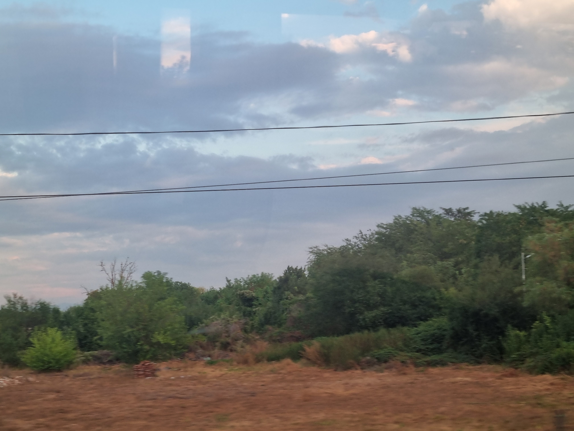 The image depicts a landscape scene, possibly taken from a moving vehicle, showing a combination of natural elements and human infrastructure. In the foreground, dry, brown grass covers the ground, suggesting a rural or undeveloped area. Behind this, a dense line of green trees and bushes forms a natural barrier, with some trees appearing taller and more mature than others. A dead, bare tree stands out amongst the foliage, its branches stark against the sky. Further back, a pile of reddish-brown logs or bricks is visible on the ground. The sky above is filled with a mix of clouds, ranging from light and wispy to heavier, darker formations, with patches of blue sky visible. Several dark, thin lines, likely power lines, stretch horizontally across the upper portion of the image. Reflections, possibly from a window, are visible in the sky, showing faint outlines of structures and trees. The overall impression is one of a natural setting bordering on the edge of development, under a cloudy sky. This scene could be located in the outskirts of Salonta, Romania, where such a transition between natural landscapes and areas with infrastructure is common.