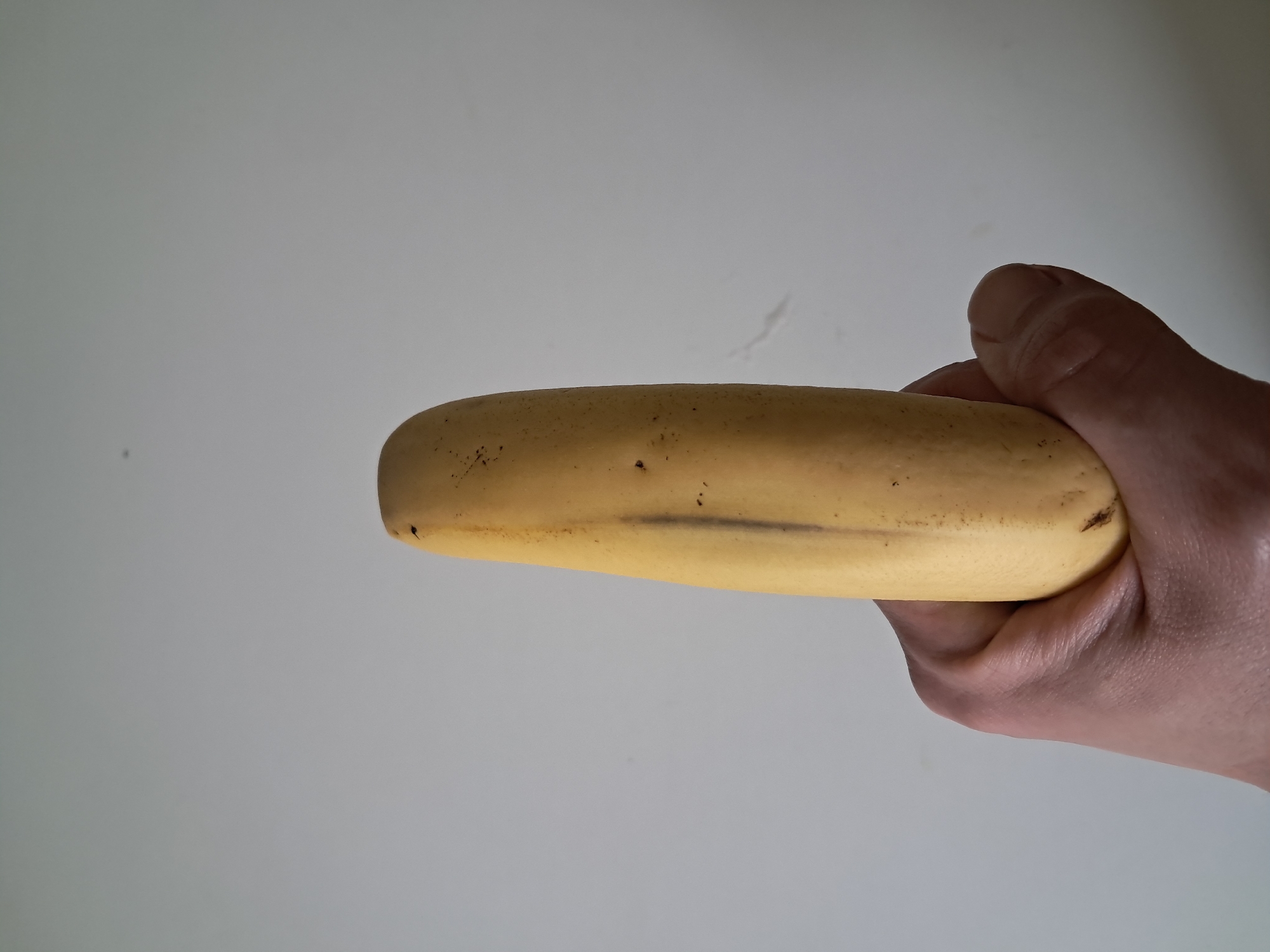An isolated, ripe yellow banana with a few brown spots is held vertically in a person's hand against a plain, off-white background. The hand appears to be a light to medium skin tone. The banana is oriented with its stem end pointing upwards, and its tip end pointing downwards. The background is a solid color with no discernible features.