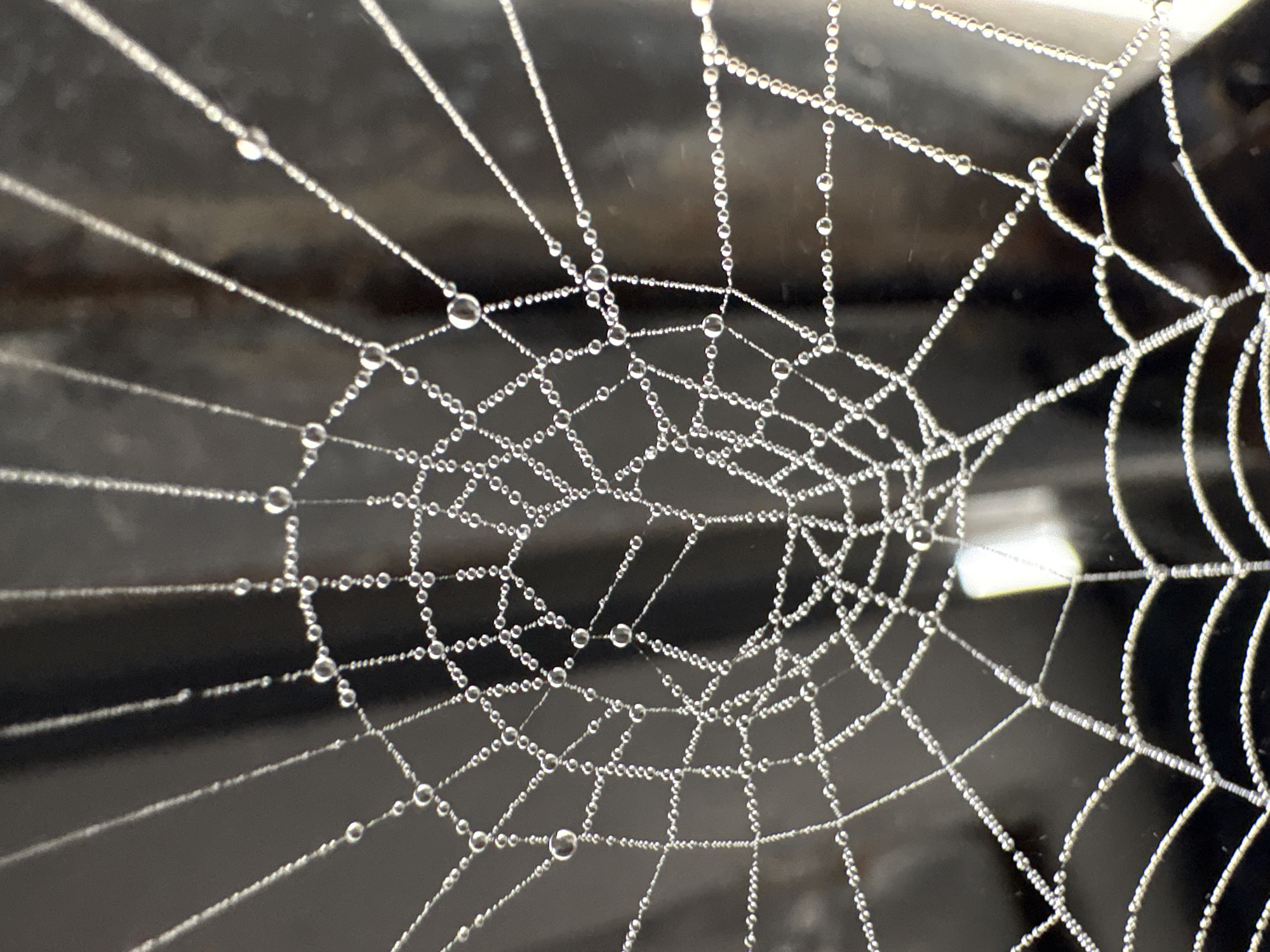 The image shows a close-up of a spider web covered in dew drops. The web is intricate and delicate, with fine silk threads forming a radial pattern. The dew drops are small and spherical, clinging to the threads and reflecting the light. The background is dark and blurred, suggesting it is out of focus. The scene is set in Kungur, Russia. There are no people or animals visible in the image, nor any signs of human activity. The overall impression is one of natural beauty and intricate detail.