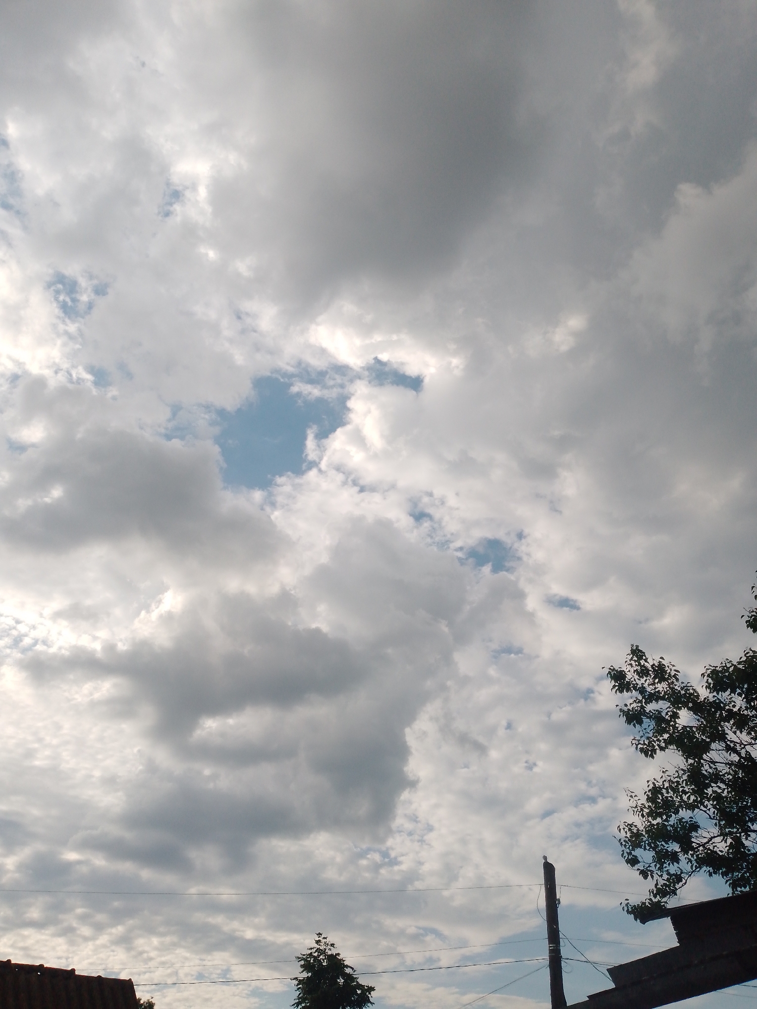 A partially cloudy sky is visible in the city of Ustyvytsia, Ukraine. The clouds are predominantly gray and white, with some patches of blue sky showing through. In the foreground, the edge of a reddish-brown tiled roof is visible on the left, along with a dark tree. A utility pole with wires stretches across the frame, and a small bird is perched on top of the pole. The leaves of a dark green tree are visible in the upper right corner.