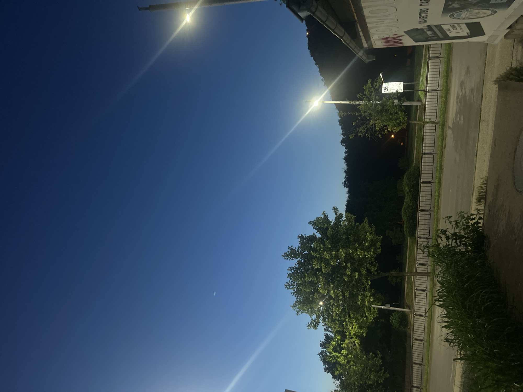 The image depicts a street scene at dusk in Plovdiv, Bulgaria. The sky is a deep blue, transitioning from the last light of day. Two streetlights are visible, one on the left side of the frame with a bright flare, and another more prominently in the center-right, also emitting a strong glare. A building with a metal roof and some signage is partially visible on the right edge of the frame. The signage appears to have Cyrillic text and graphic elements. Across the street, a metal fence separates the road from a grassy area and trees. A larger, lush green tree stands prominently in the mid-ground. The road surface is asphalt, and some vegetation is visible in the foreground. The overall impression is of a quiet urban environment as evening sets in.