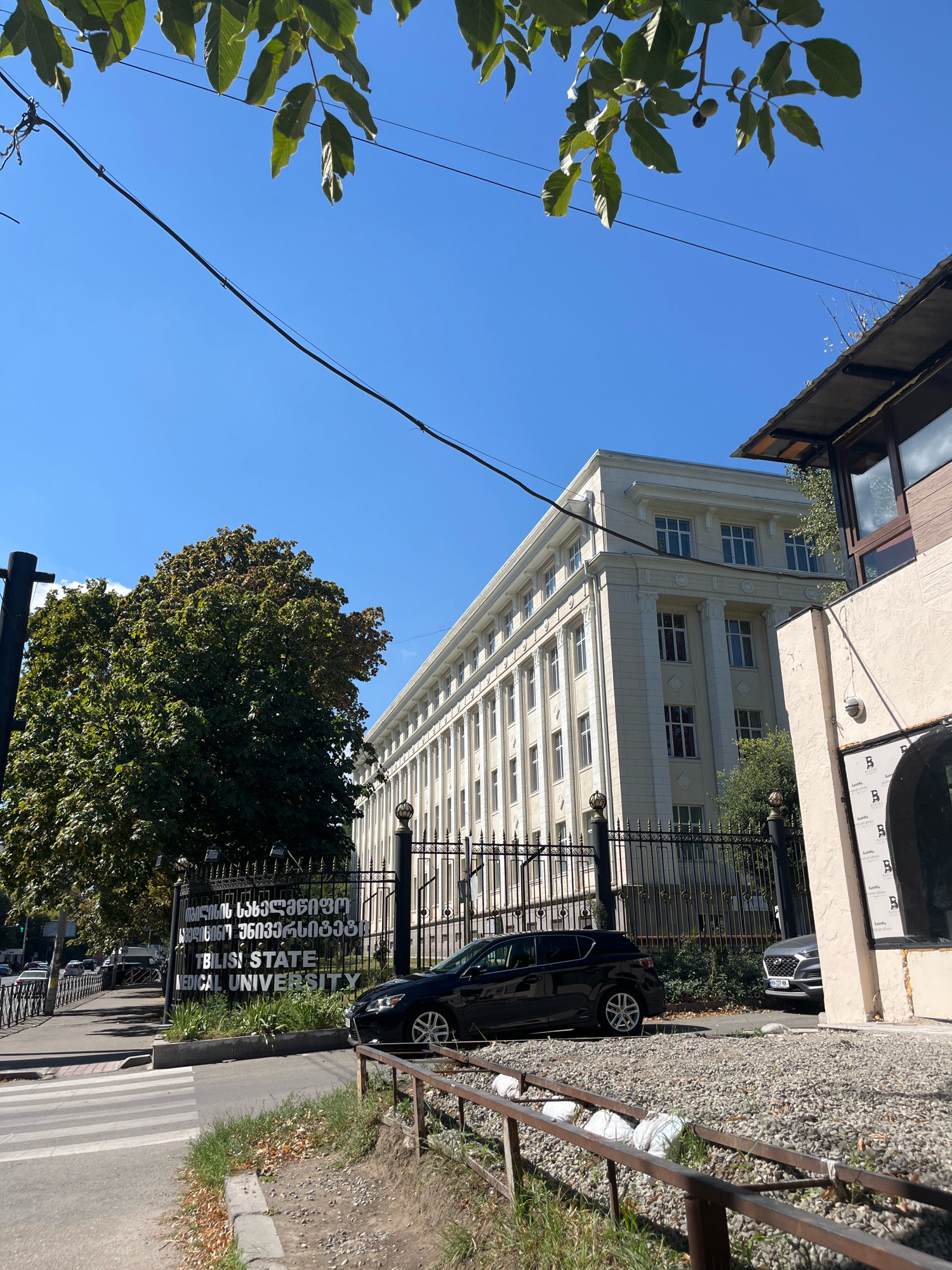 A wide-angle, eye-level shot captures the entrance to Tbilisi State Medical University in Tbilisi, Georgia, on a clear, sunny day. The university building, a grand, multi-story structure with a pale yellow facade, classical columns, and numerous windows, dominates the background. To the right of the main building, a smaller, more modern structure with a dark wood-paneled upper section and large windows is partially visible.
In the foreground, a black car is parked near the entrance gate. The gate itself is ornate black wrought iron, featuring decorative finials and a sign with text in both Georgian and English, clearly identifying the institution as "TBILISI STATE MEDICAL UNIVERSITY." A pedestrian crossing is visible on the left side of the frame, leading towards the sidewalk and the entrance.
A large, leafy green tree stands to the left of the university building, providing a contrasting element to the architecture. Power lines crisscross the blue sky above, with some branches of a tree in the upper left corner casting dappled shadows. The ground in front of the building and along the sidewalk is paved, with some areas of gravel and scattered leaves. The overall scene depicts a well-maintained academic institution entrance under bright daylight conditions.