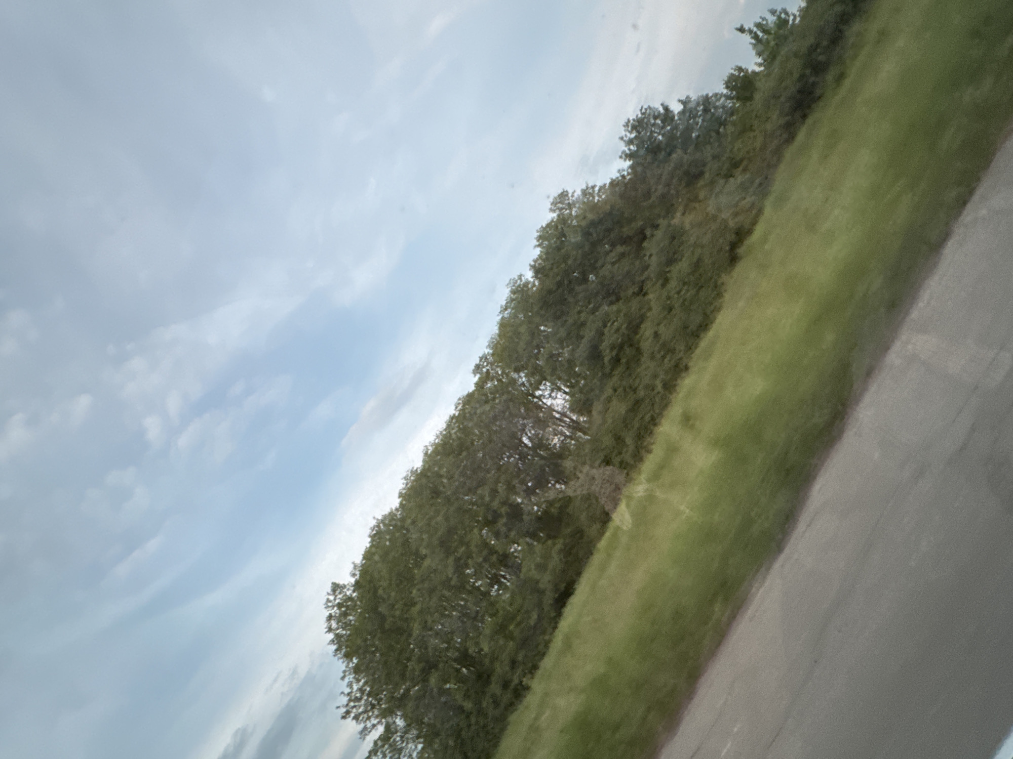 This image captures a landscape scene, presented at an angle, depicting a view in the city of Suprunivka, Ukraine. The upper portion of the frame features a light blue sky with several diffuse, wispy white cloud formations. A dense band of green trees with abundant foliage extends across the mid-ground, forming a natural horizon. Below the tree line, a grassy slope with varying shades of green occupies the lower-middle section, descending towards the foreground. The bottom-left quadrant displays a segment of a grey paved surface, consistent with an asphalt or concrete road or shoulder, which is also angled. No individuals, vehicles, or specific man-made structures beyond the road and natural elements are discernible. The lighting is consistent with outdoor daylight conditions. The image exhibits minor motion blur, particularly noticeable on the road surface and in the foliage.