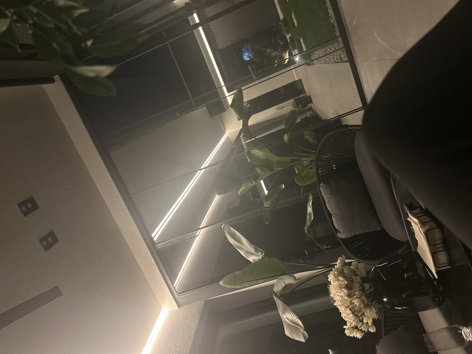 The image depicts an interior space with modern design elements. The ceiling features recessed lighting and a large window or glass wall that reveals an outdoor area with greenery. Inside, there are plants, a dark-colored wicker chair with a cushion, and a vase of white flowers. The location is not identifiable as Plovdiv, Bulgaria without additional information. The overall impression is a stylish, contemporary setting.