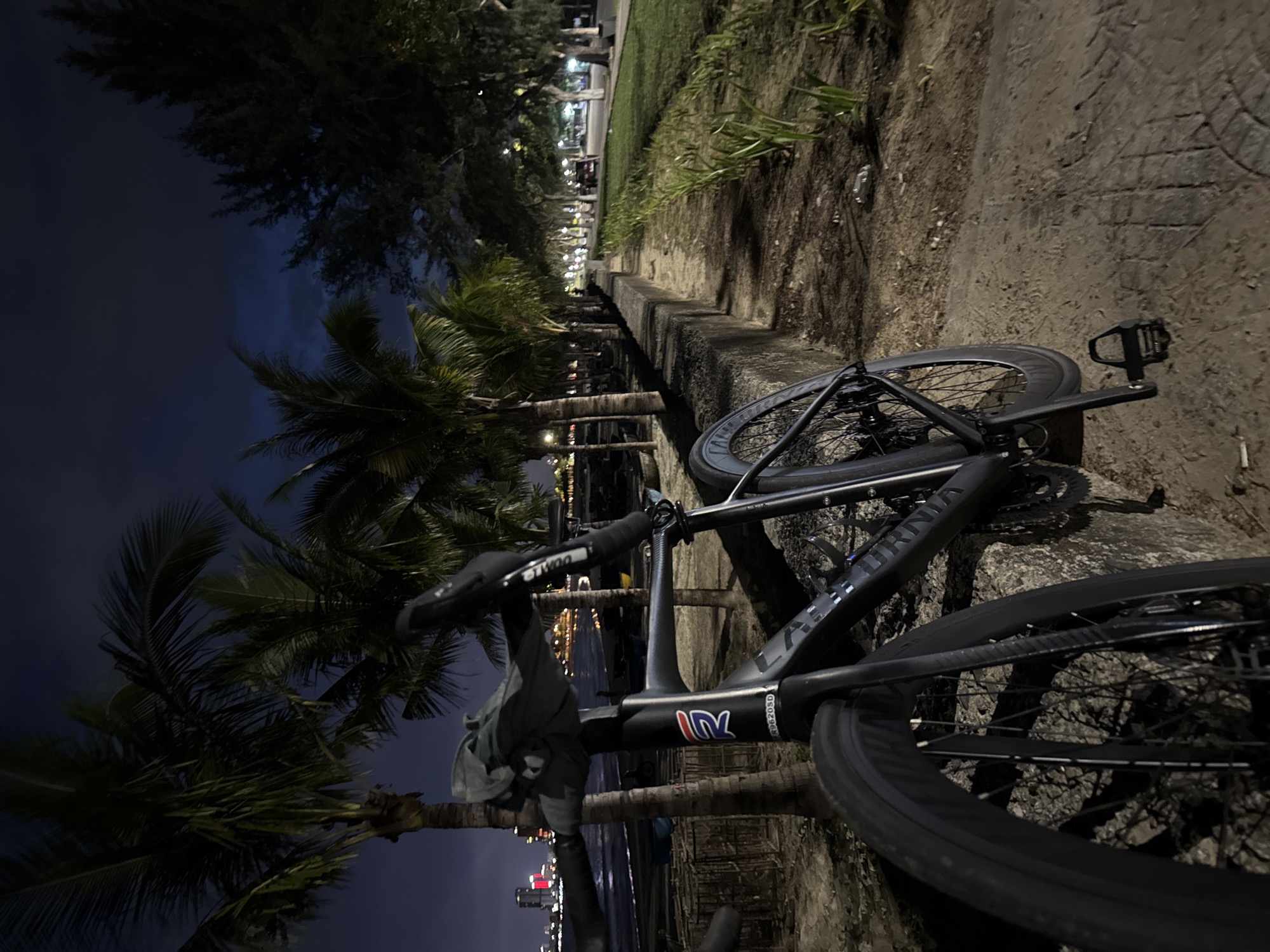 A bicycle is lying on its side along a concrete curb in Đà Nẵng, Vietnam. The curb separates a grassy area from a walkway lined with palm trees. In the background, across a dark expanse of water, city lights are visible. The bicycle is black, and part of its frame is visible, revealing the brand name "TURNIA." A cloth or towel is draped over the handlebars. The time appears to be night, and the scene is illuminated by artificial lights.