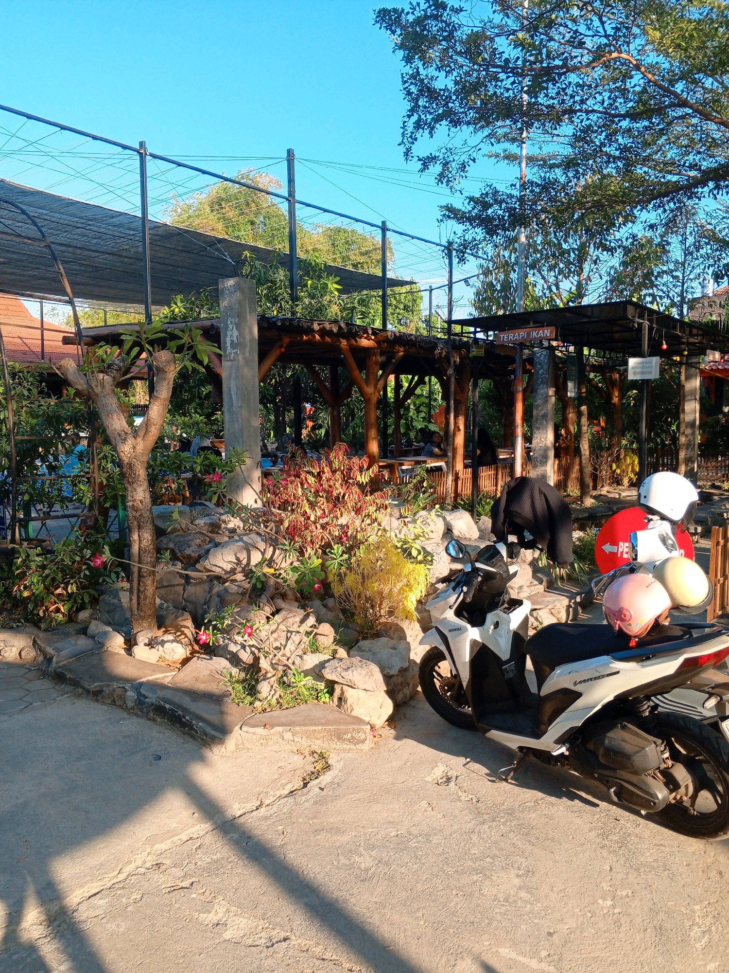 This image depicts an outdoor seating area at a restaurant in Kecamatan Pati, Indonesia. The scene is bathed in the warm light of the late afternoon sun, casting long shadows across the concrete ground. In the foreground, two white scooters are parked. One scooter, a Honda Vario, is angled towards the right side of the frame, with three helmets placed on its seat and handlebars: a white helmet, a pink helmet, and a yellow helmet. A black jacket is draped over the handlebars of a second scooter, partially obscured by the plants.
The restaurant itself features a rustic, open-air structure with a wooden roof supported by pillars. Several tables and chairs are visible within this structure, with some patrons seated and others appearing to be dining. A decorative rock garden with various plants, including some with red and green foliage and small pink flowers, is situated in front of the seating area. In the background, a clear blue sky is visible above lush green trees and a dark mesh canopy, likely providing shade for the outdoor space. Signs with Indonesian text, such as "TERAPI IKAN" (Fish Therapy) are affixed to the structure. The overall impression is a relaxed, casual dining environment on a sunny day.