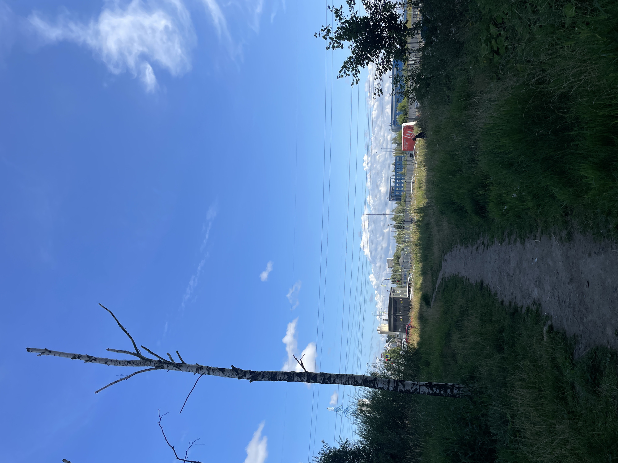 A vertical, medium shot captures a dirt path winding through tall grass and vegetation in a semi-urban environment. A bare birch tree stands prominently on the left, its white and black bark stark against the bright blue sky dotted with scattered white clouds. In the background, a landscape of industrial buildings, including structures with blue facades and what appears to be an electrical substation, are visible. Power lines crisscross the mid-ground, and several vehicles, including a red delivery truck with Cyrillic text and white cars, are present on a road in the distance. The overall scene suggests an area on the outskirts of a city, where nature and industrial infrastructure converge.