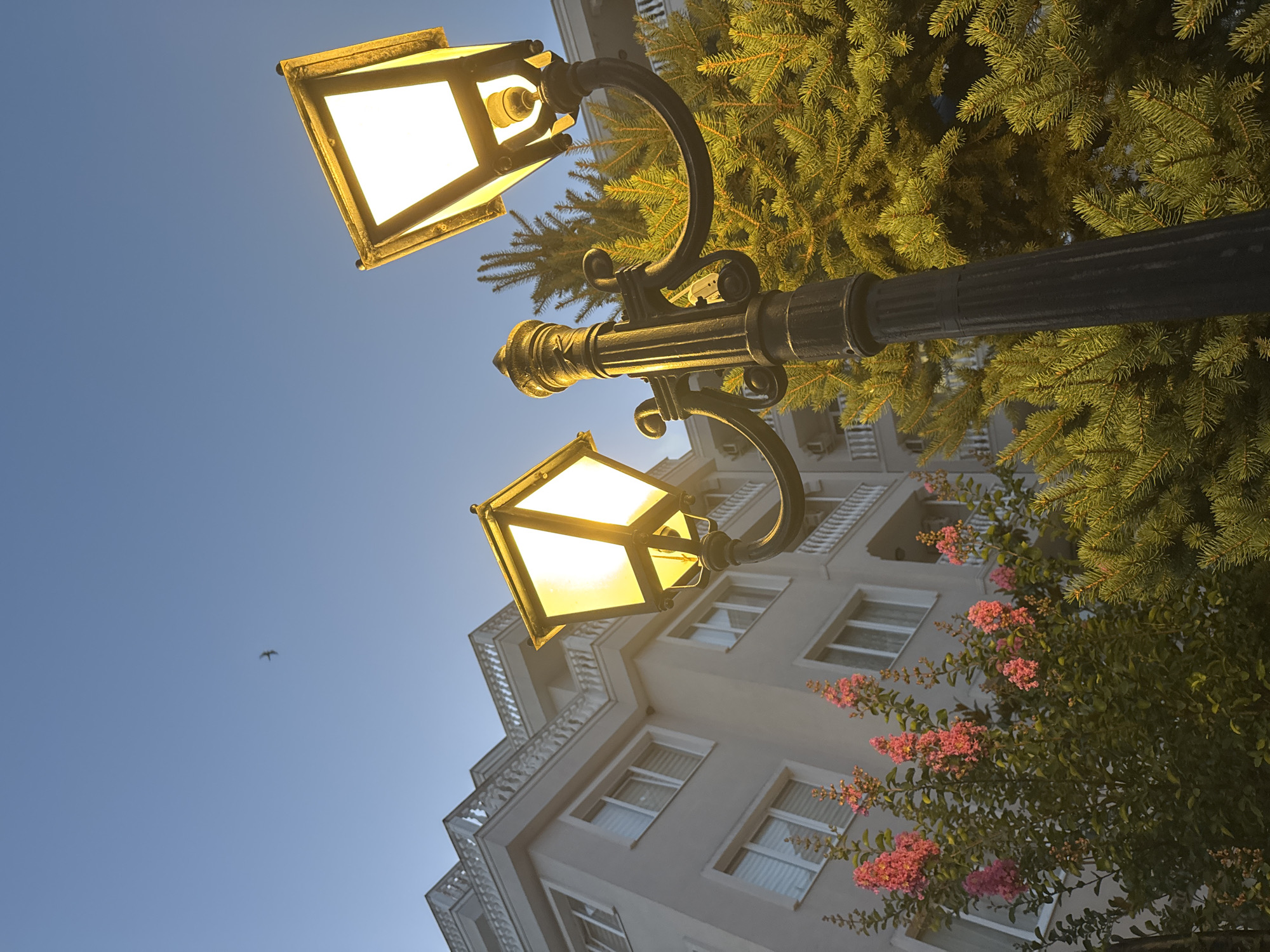 A low-angle, wide shot captures a vintage-style black lamppost with two glowing yellow lanterns against a clear blue sky. The lamppost is positioned in the foreground, obscuring part of a dense, green pine tree and a bush with pink flowers. In the background, a multi-story building with white balconies and numerous windows is visible. The building appears to be residential, possibly an apartment complex, and its architecture suggests it is located in a coastal town. The overall scene evokes a peaceful evening ambiance. The image was taken in Nesebar, Bulgaria.