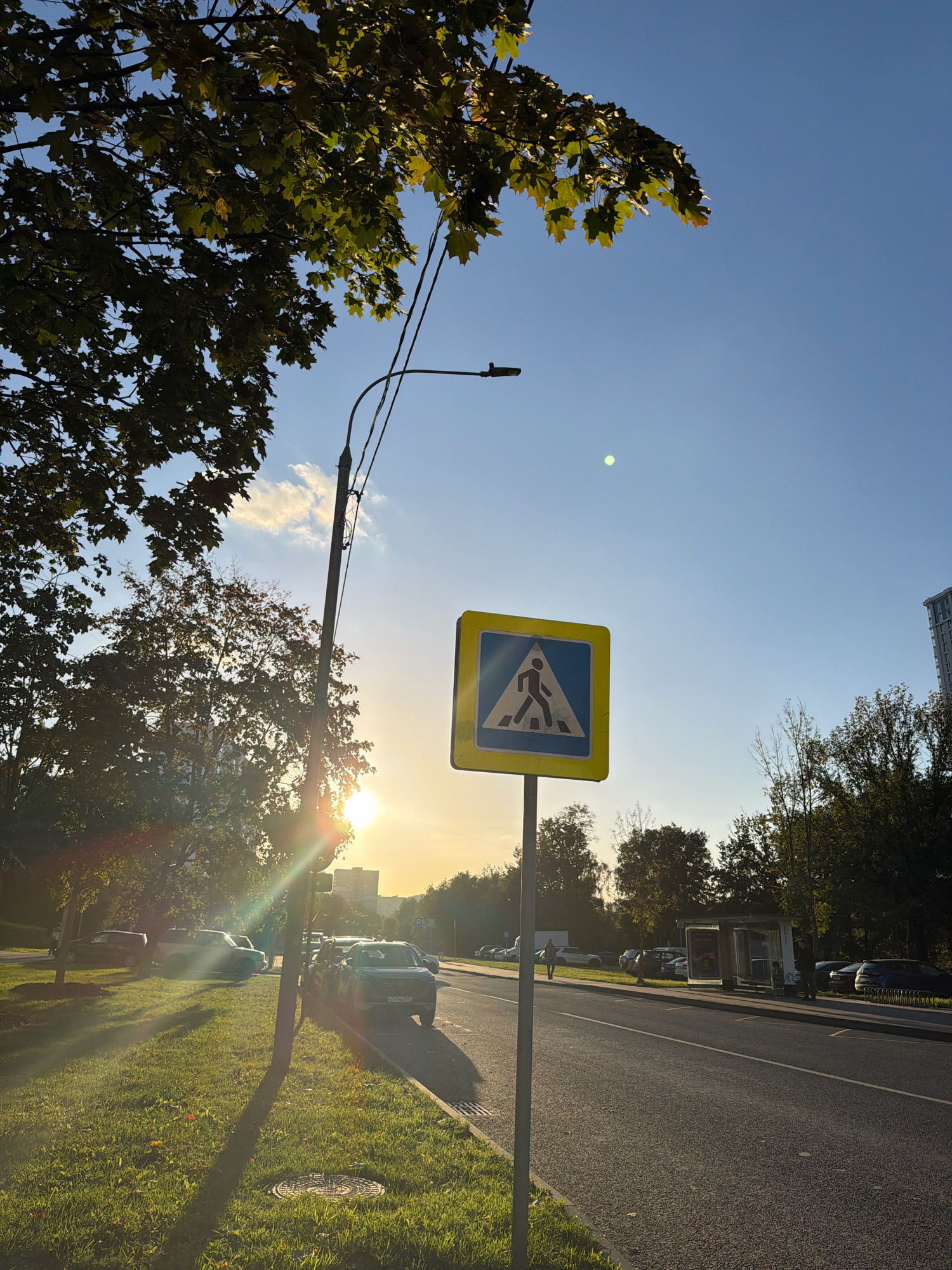 This is a full shot of a crosswalk sign on a street in Moscow, Russia, during daylight. The sky is clear and blue, with a few clouds visible. The sun is low in the sky, casting long shadows across the scene. A tree with green leaves is in the foreground, and a street light is visible behind it. A few cars are parked along the side of the road, and a bus stop is visible in the distance. A person can be seen walking in the distance. The image is framed with the crosswalk sign prominently in the center.