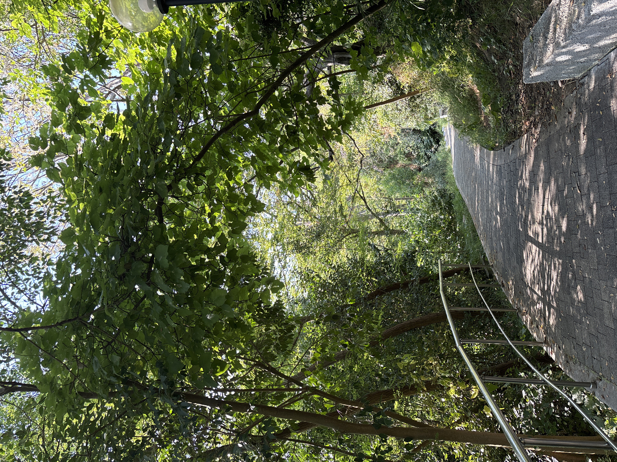 The image depicts a paved pathway curving through a lush, tree-lined area. The path is constructed of dark grey interlocking pavers, casting dappled shadows from the overhead foliage. A polished metal railing runs along the left side of the path, supported by vertical posts. The surrounding environment is characterized by dense green trees and vegetation, with sunlight filtering through the leaves, creating a bright and natural atmosphere. A light fixture with a spherical glass shade is visible on the right side of the path, partially obscured by leaves. In the foreground on the right, a weathered concrete block sits at the edge of the pathway. The scene appears to be an outdoor recreational area, possibly a park or walking trail within a city. The overall impression is one of a tranquil, sun-dappled natural setting. This location is likely in the city of Sochi, Russia, given the presence of a paved walkway with a railing in a verdant environment, consistent with the city's many parks and public spaces.